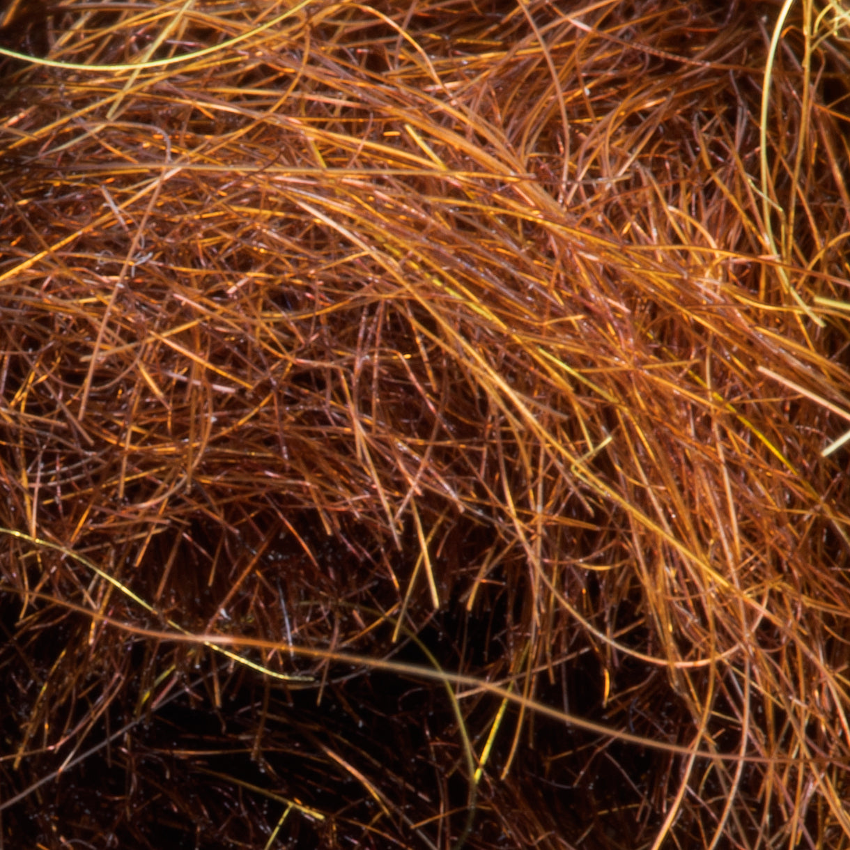 Semperfli SemperSeal