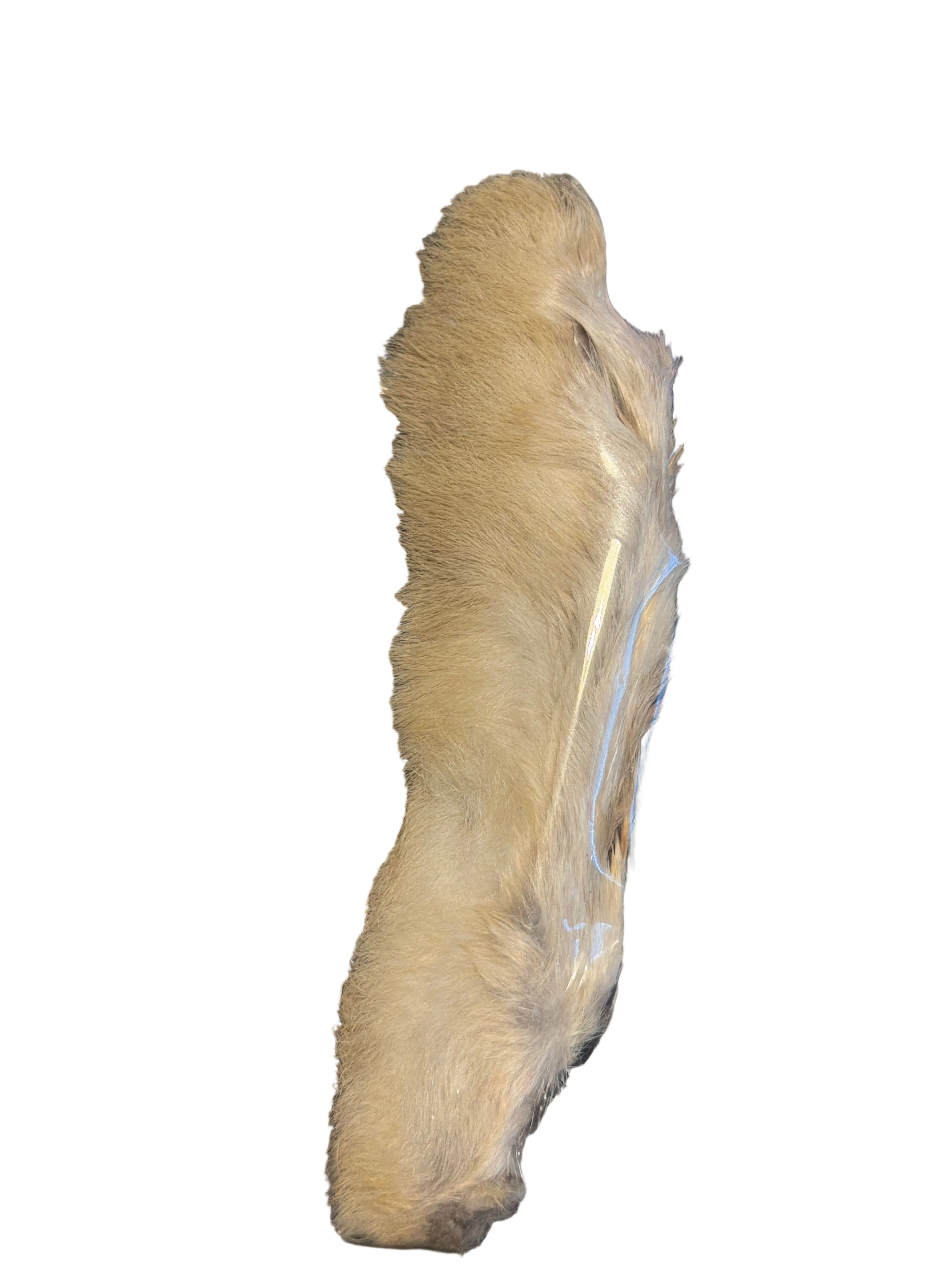Nature's Spirit Snowshoe Rabbit Foot - cream