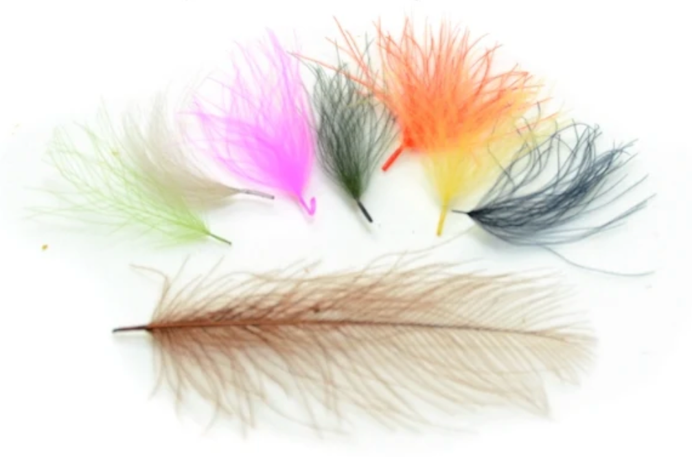 Natures Spirit - CUL DE CANARD TUFTS