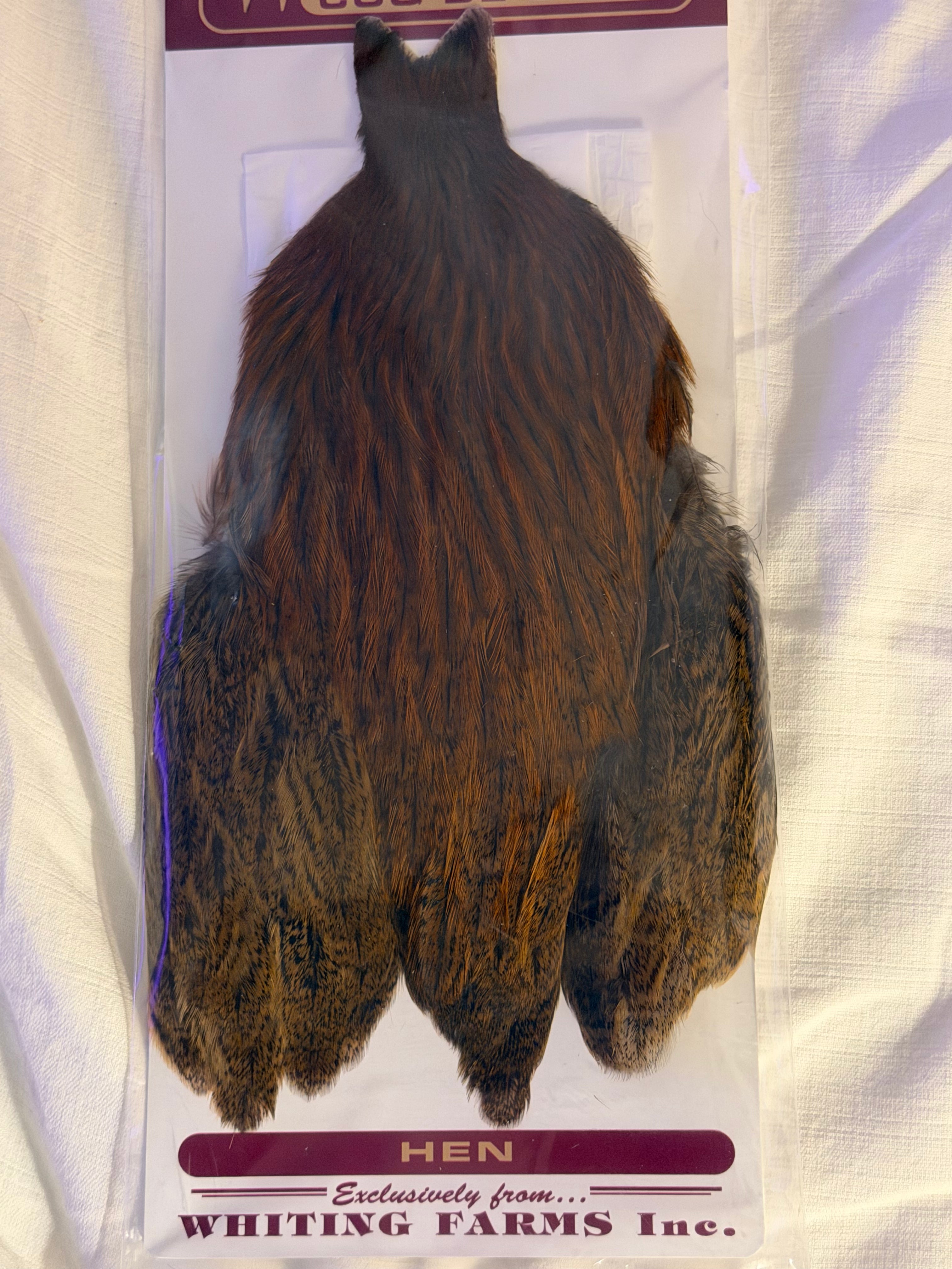 Whiting Coq de Leon Hen Cape