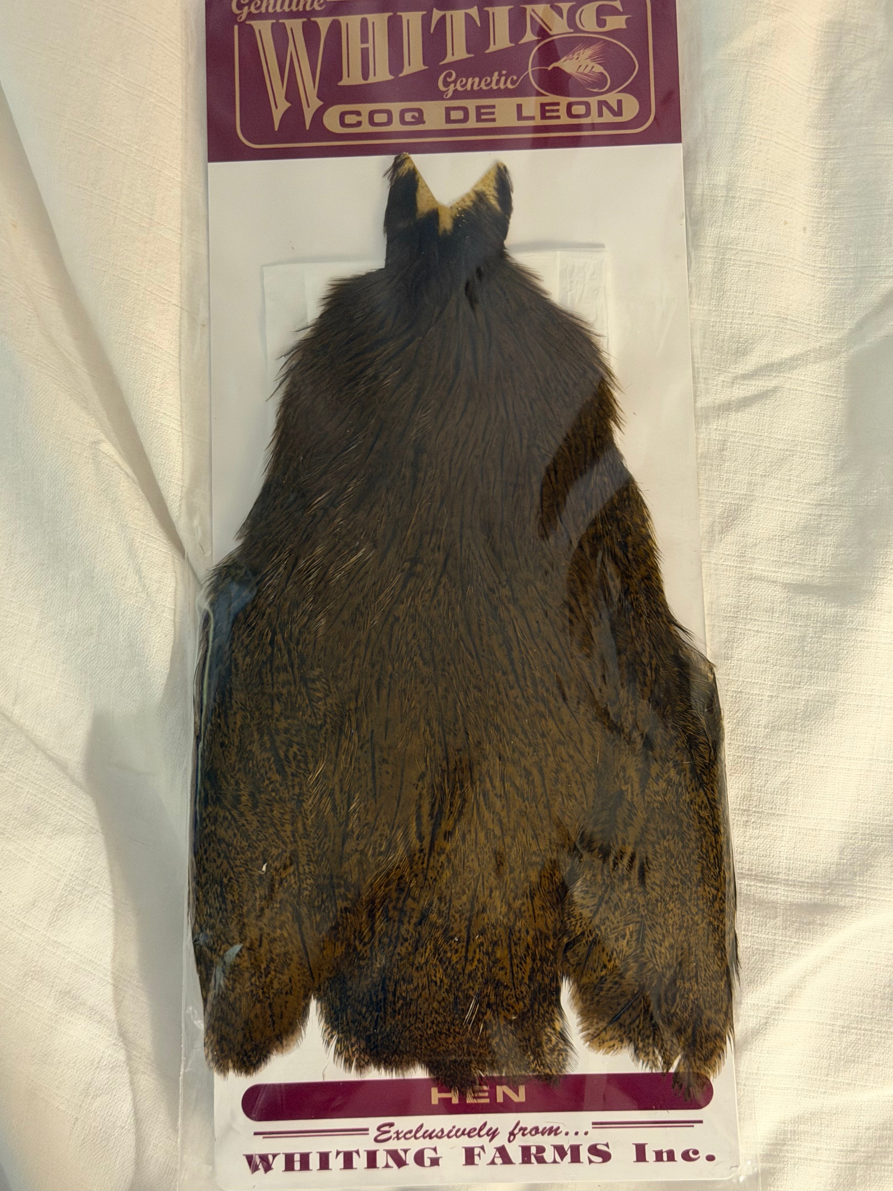 Whiting Coq de Leon Hen Cape