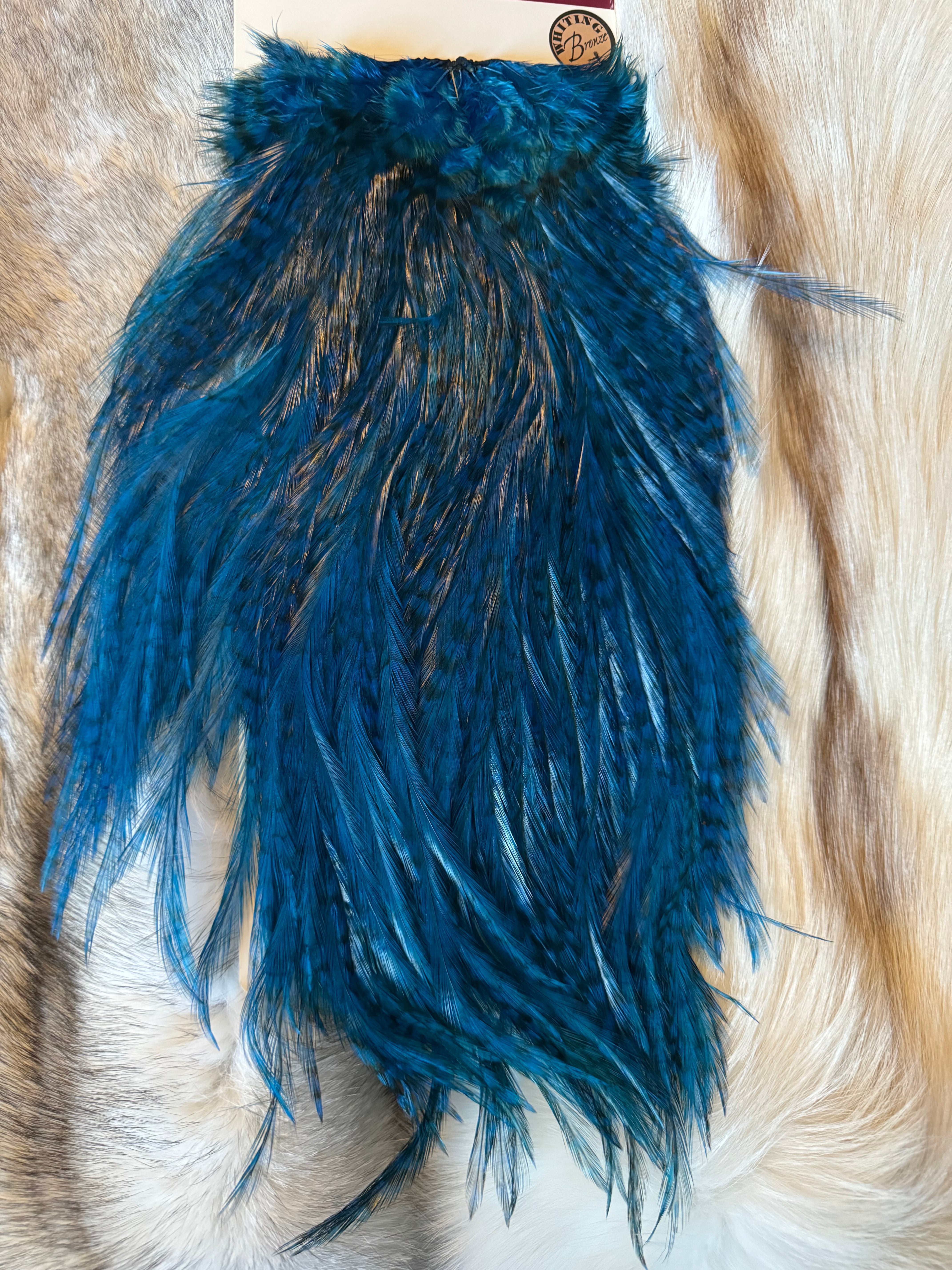 Whiting Capes - COQ DE LEON - Rooster Saddle (Bronze) - Grizzly dyed Kingfisher Blue