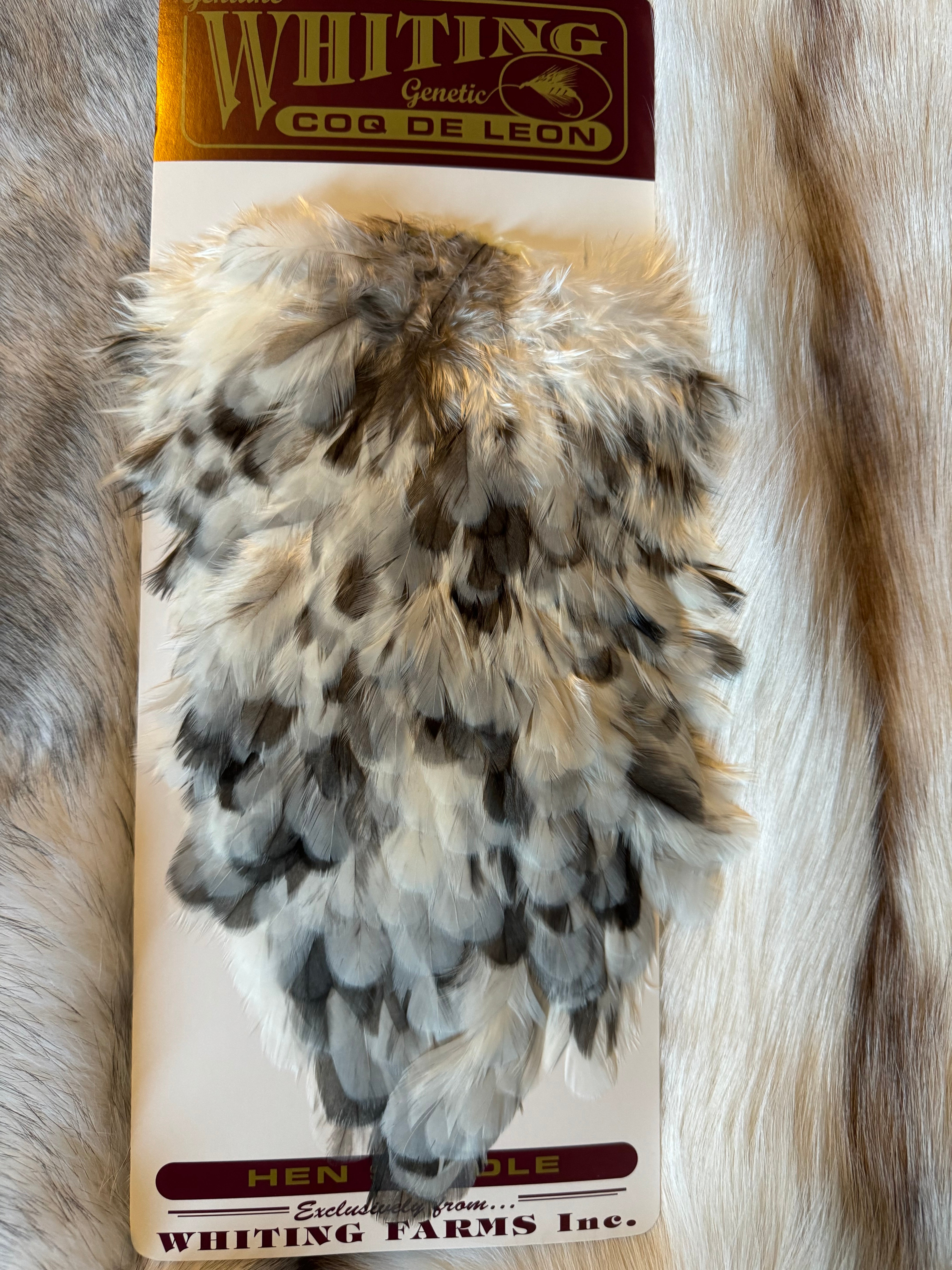 Whiting Capes - COQ DE LEON - Hen Saddle - Unique Variant