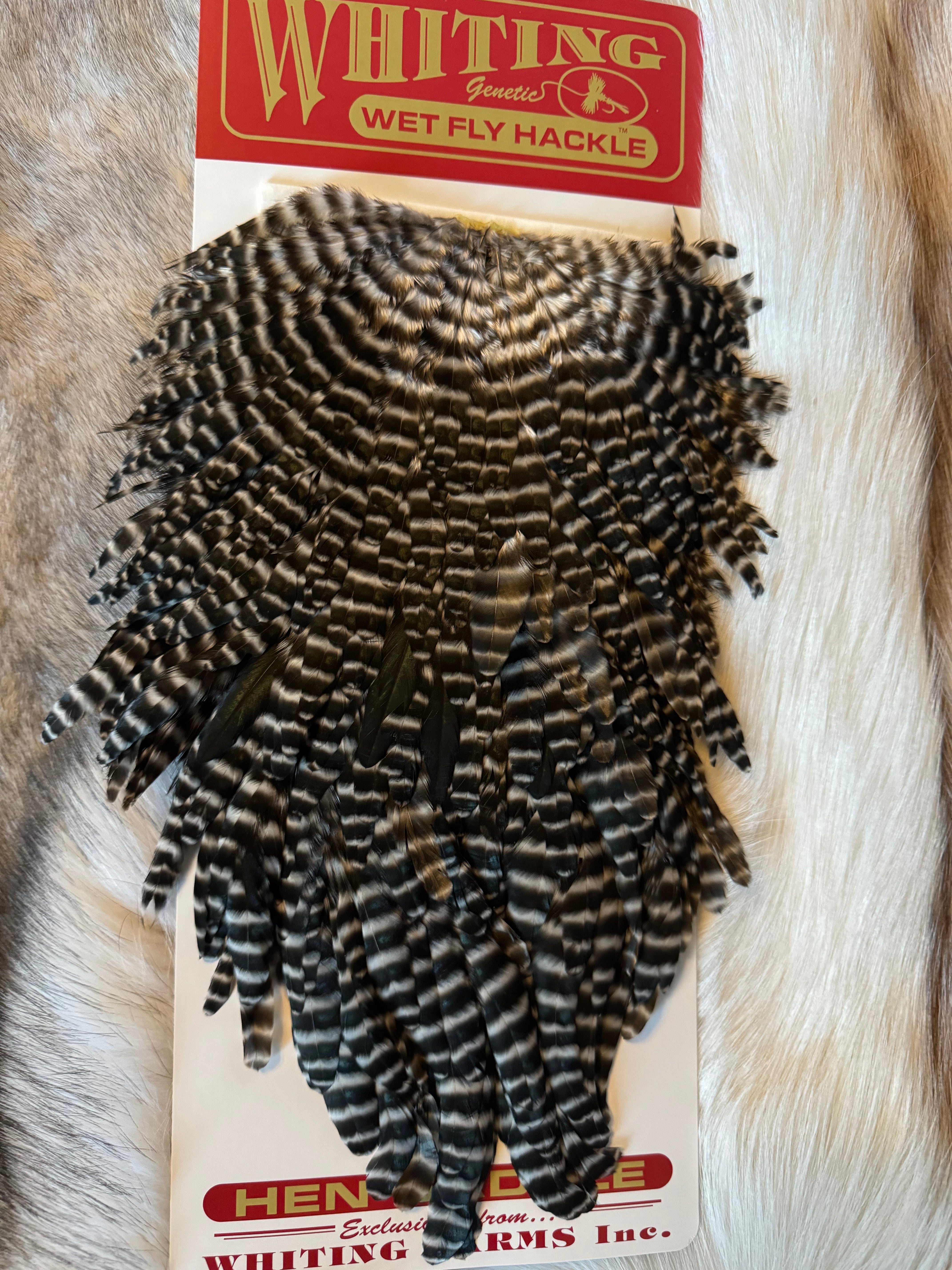 Whiting Capes - Wet Fly Hackle Hen Saddle - Grizzly