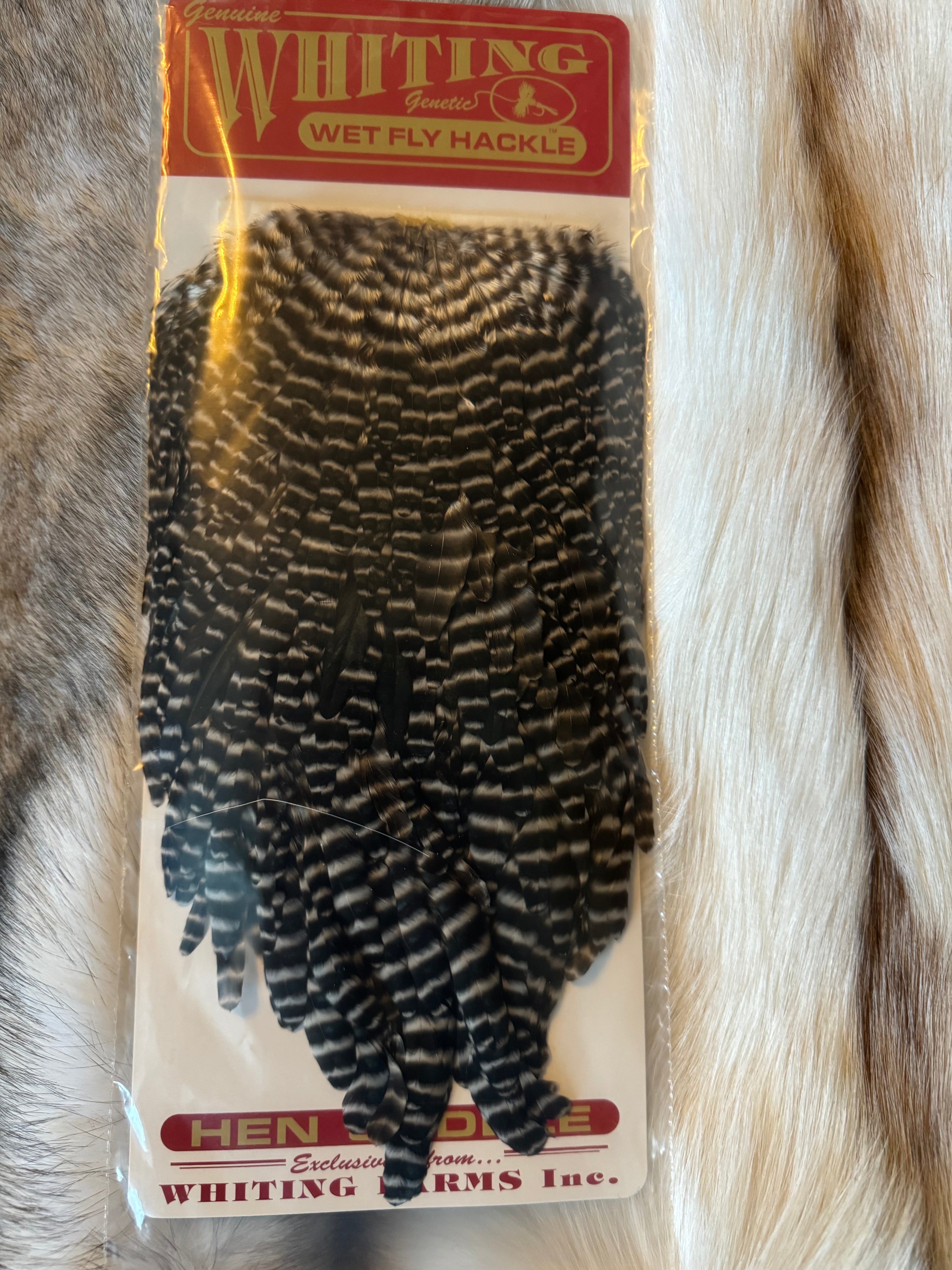 Whiting Capes - Wet Fly Hackle Hen Saddle - Grizzly