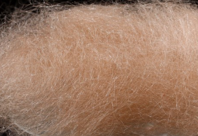 Sybai Polar Ultrafine*