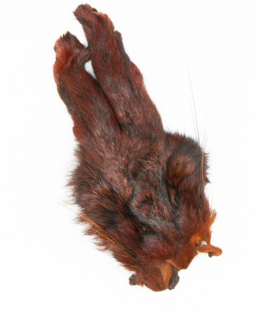 Veniard Hare's Mask