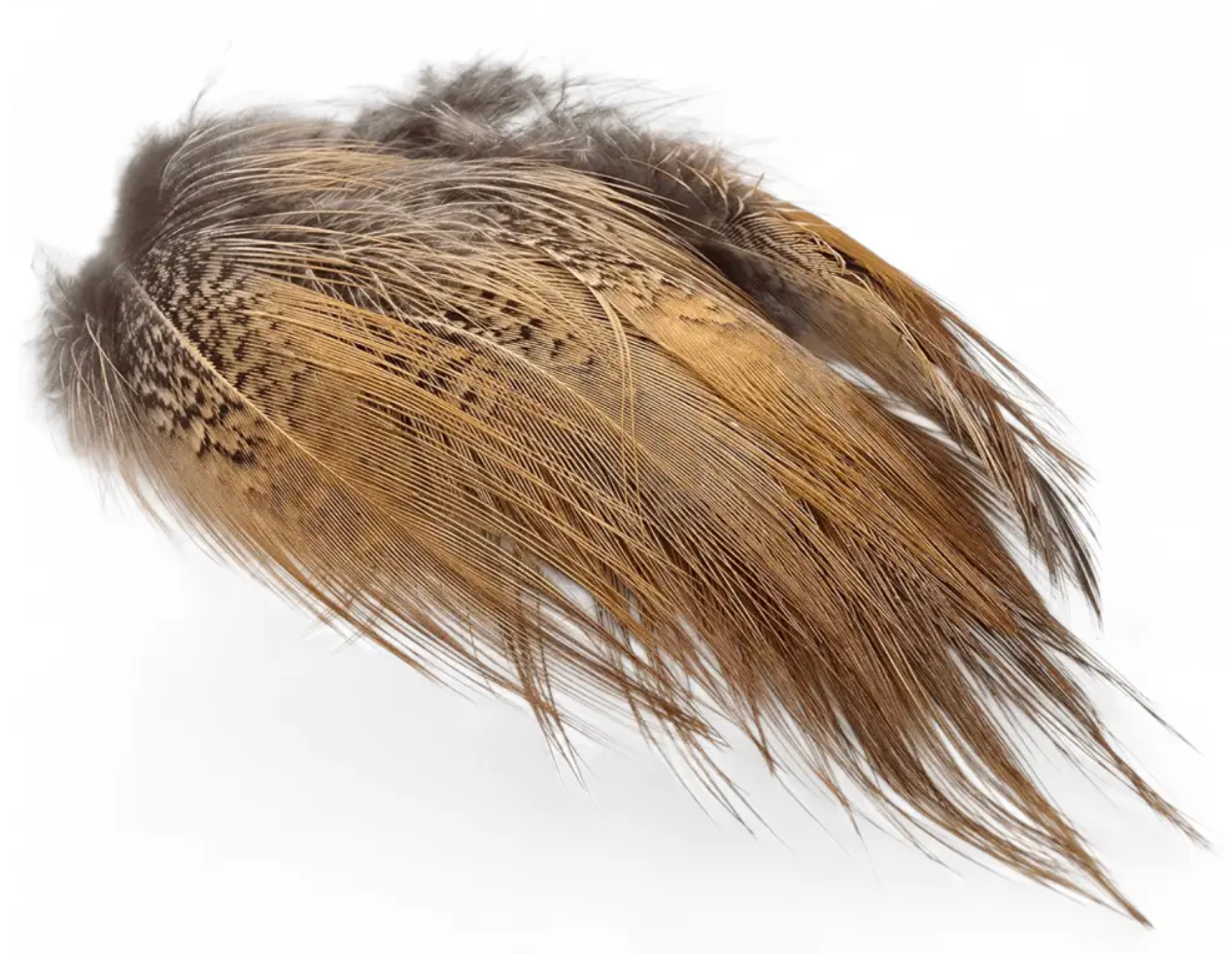 Kindale Cock Pheasant Long Rump Feathers 2g Natural