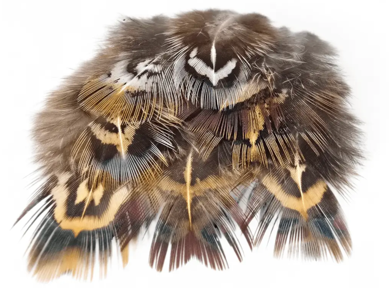 Kindale Cock Pheasant Short Rump Feathers 1g