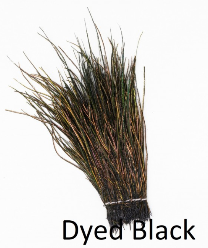Veniard: Peacock Herl