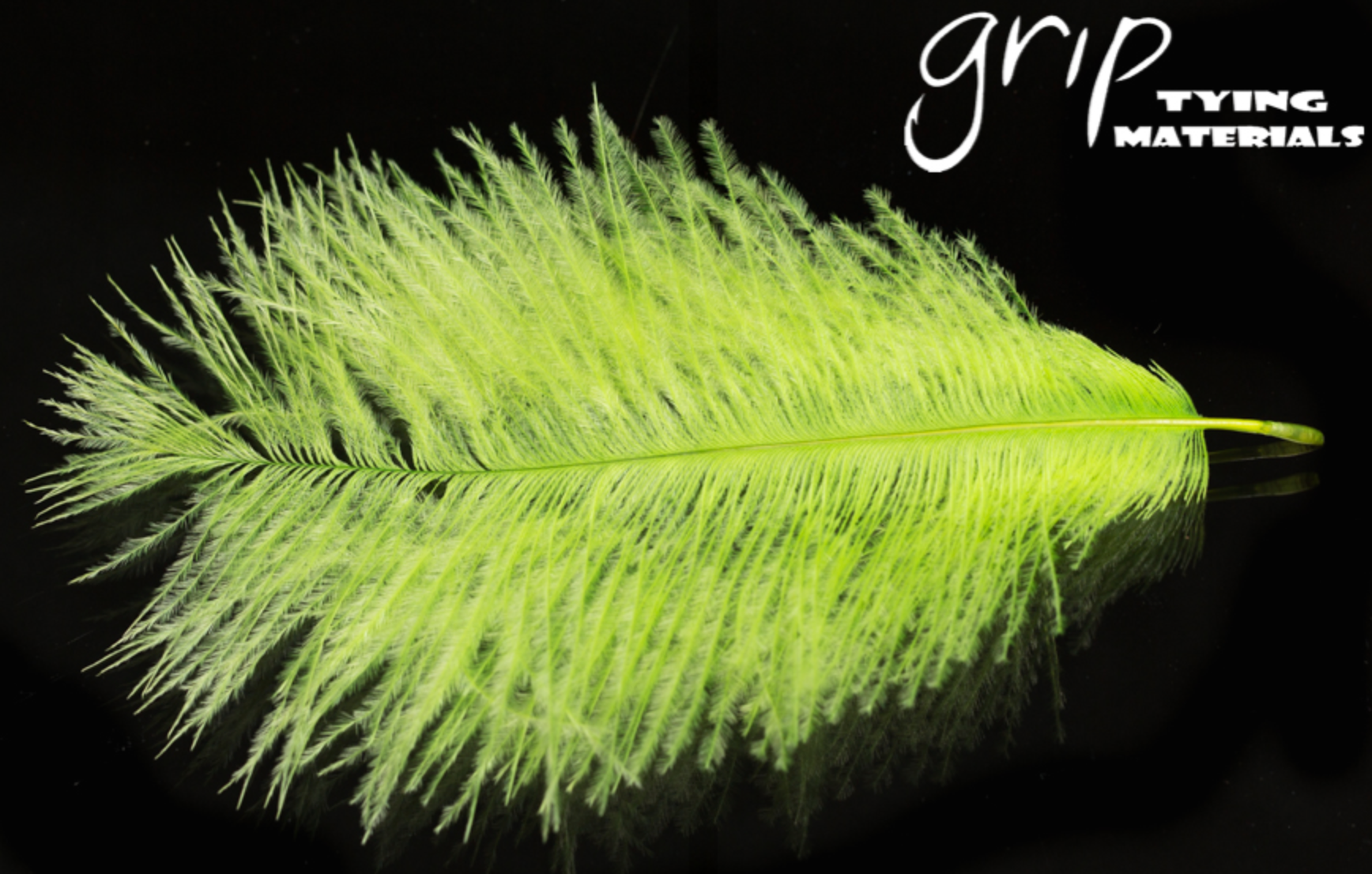 Ostrich Plumes - Mini