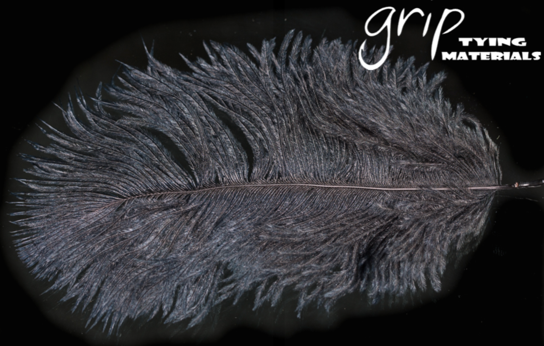 Ostrich Plumes - Mini