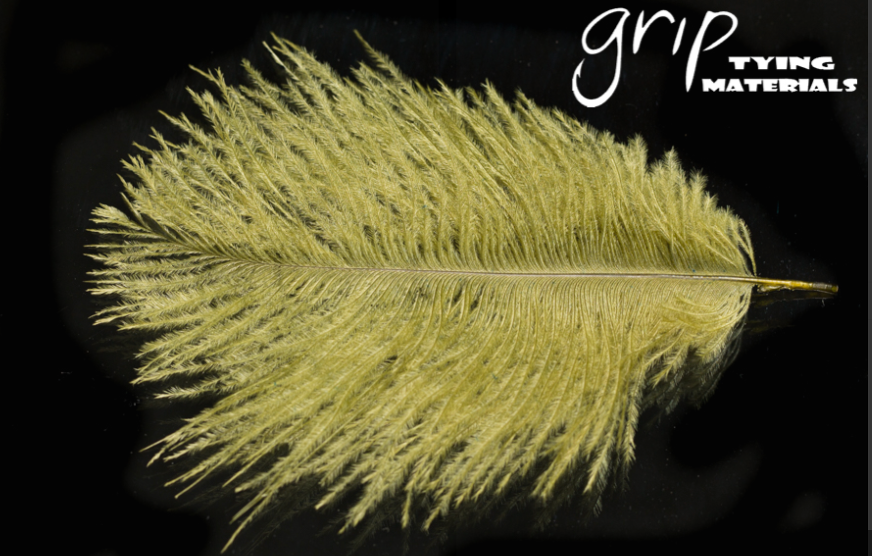 Ostrich Plumes - Mini