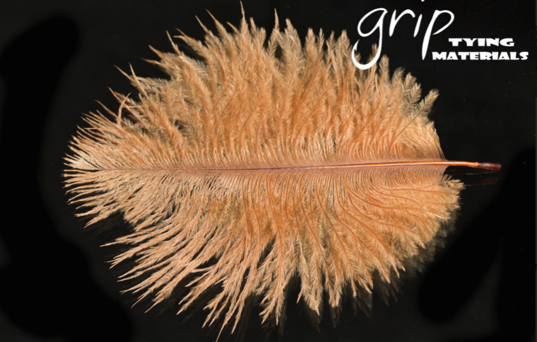 Ostrich Plumes - Mini