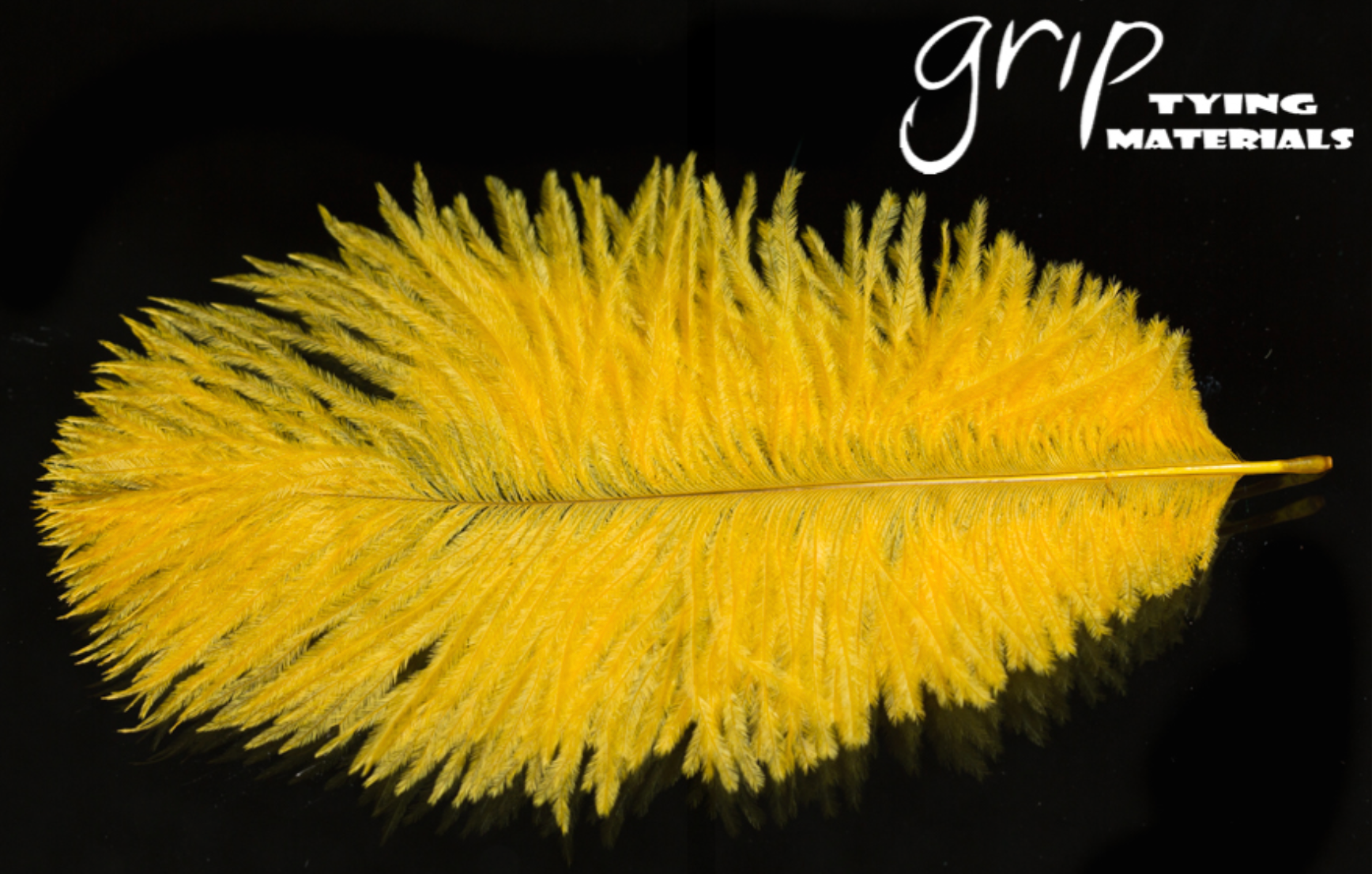 Ostrich Plumes - Mini