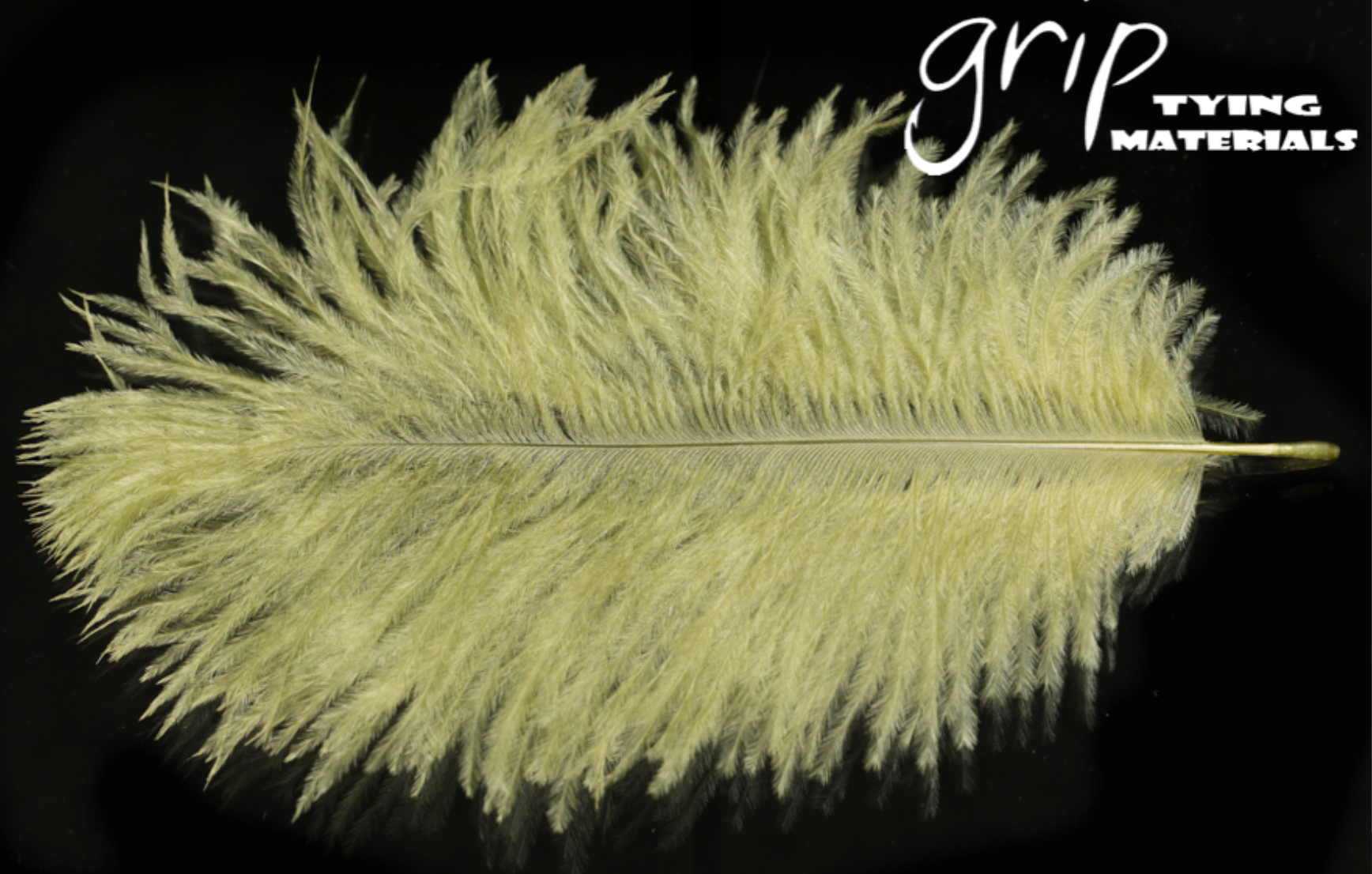 Ostrich Plumes - Mini