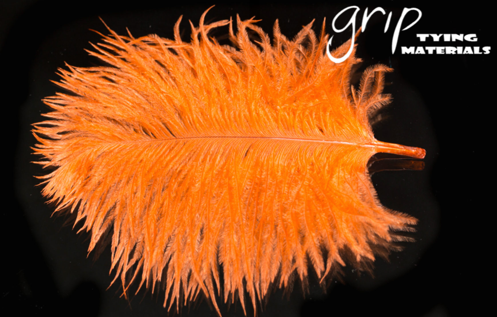 Ostrich Plumes - Mini