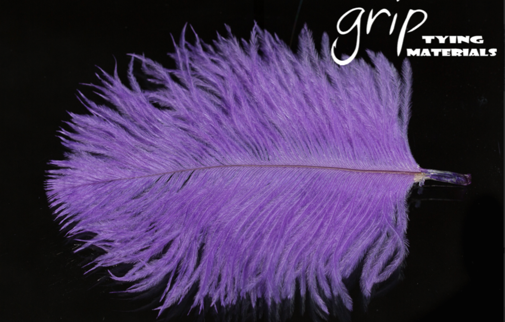 Ostrich Plumes - Mini