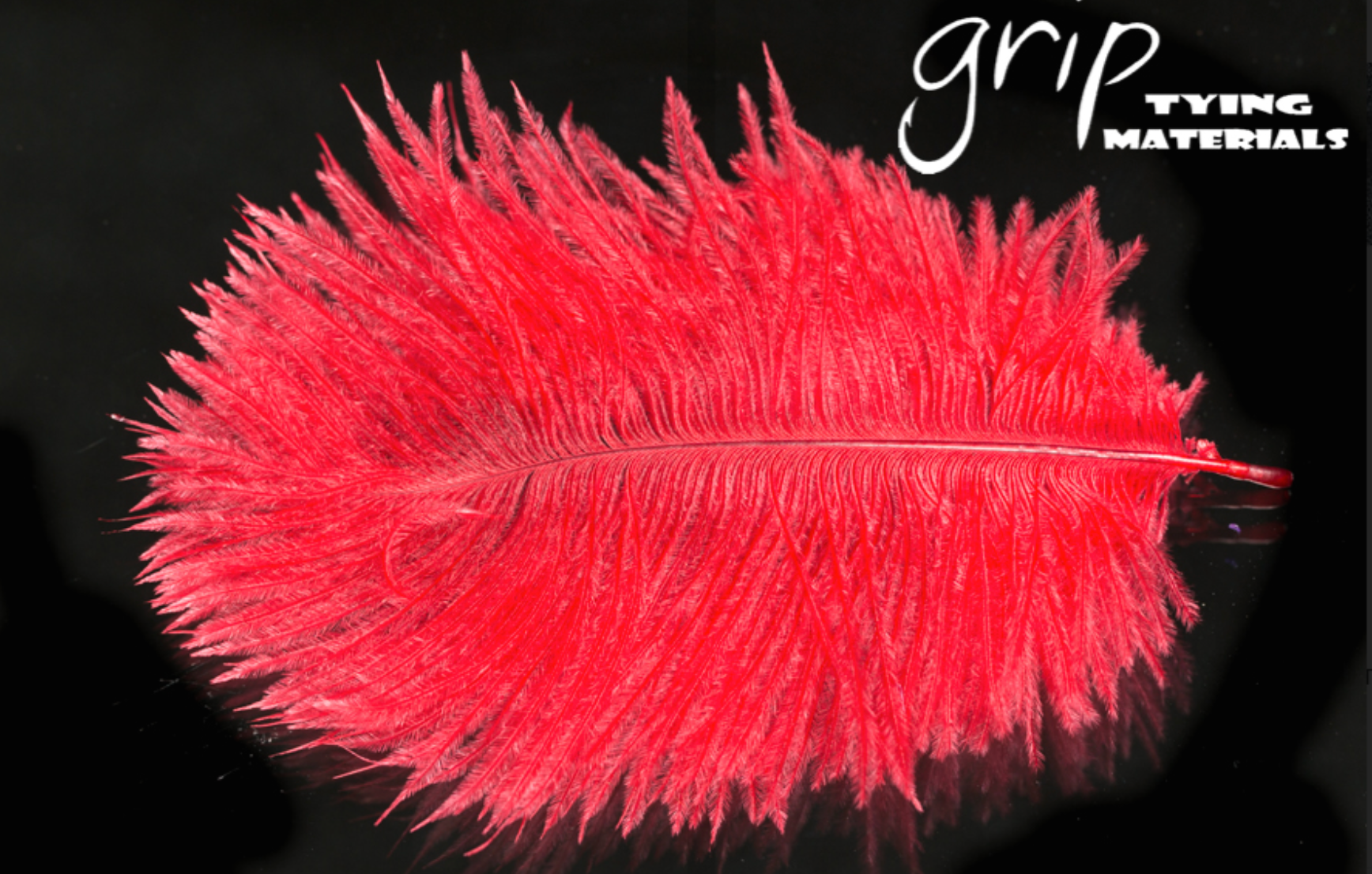 Ostrich Plumes - Mini