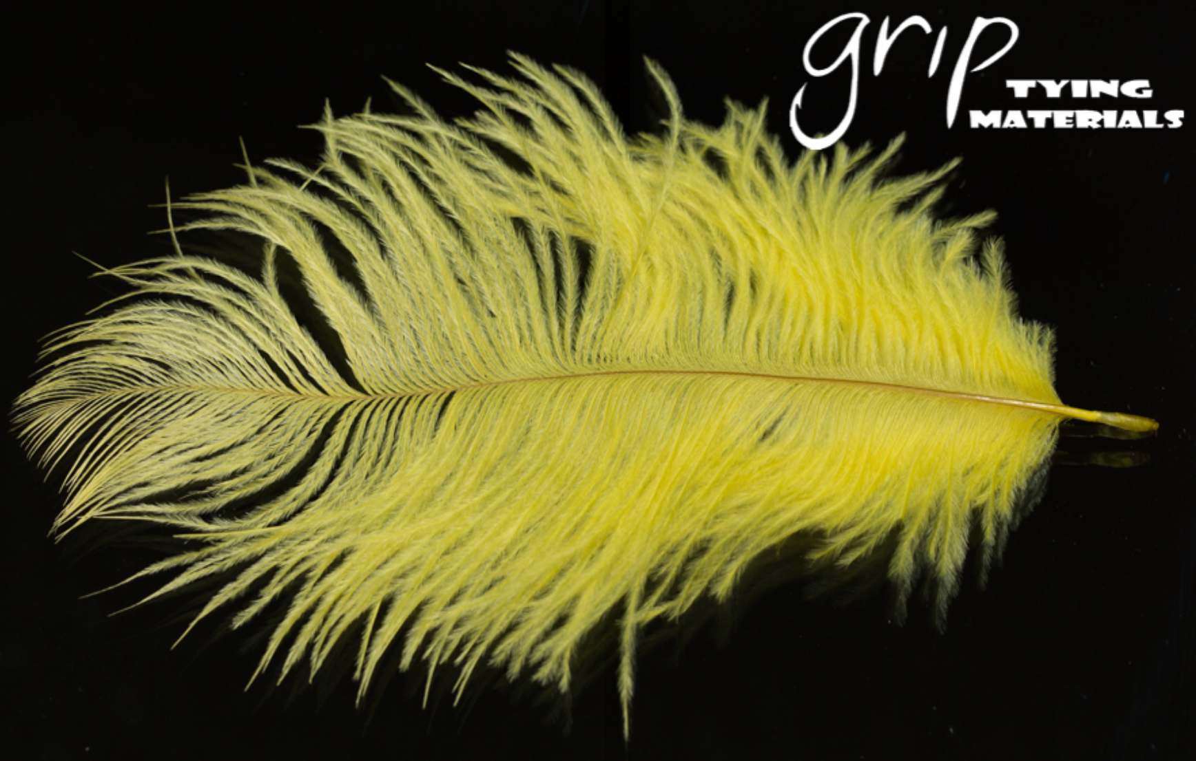 Ostrich Plumes - Mini