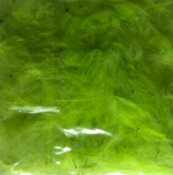 Chevron - CDC 2g packs - Special Offer