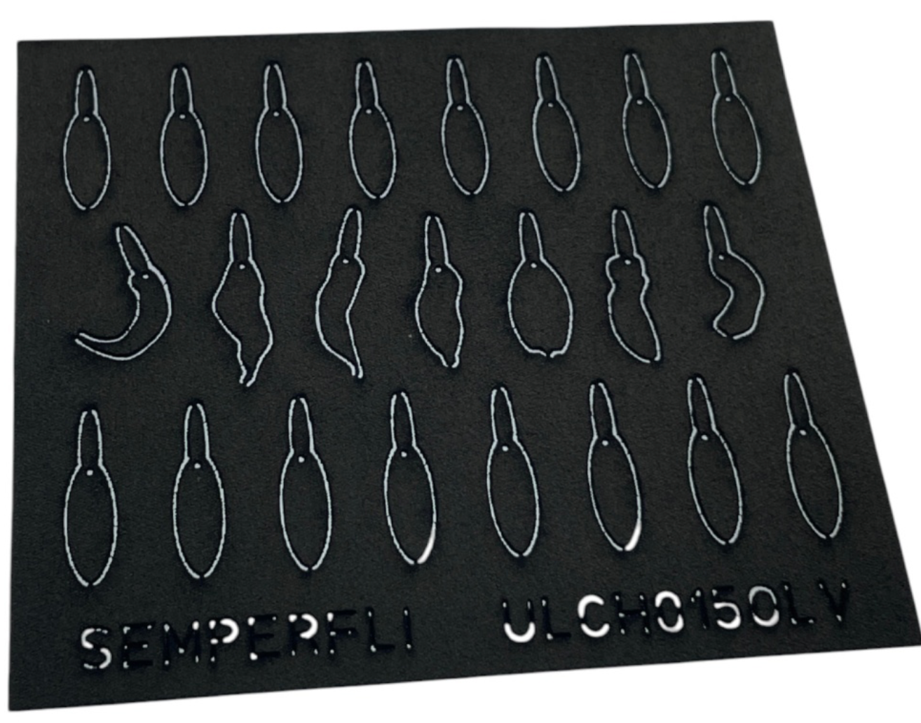 ABC Leech Bodies