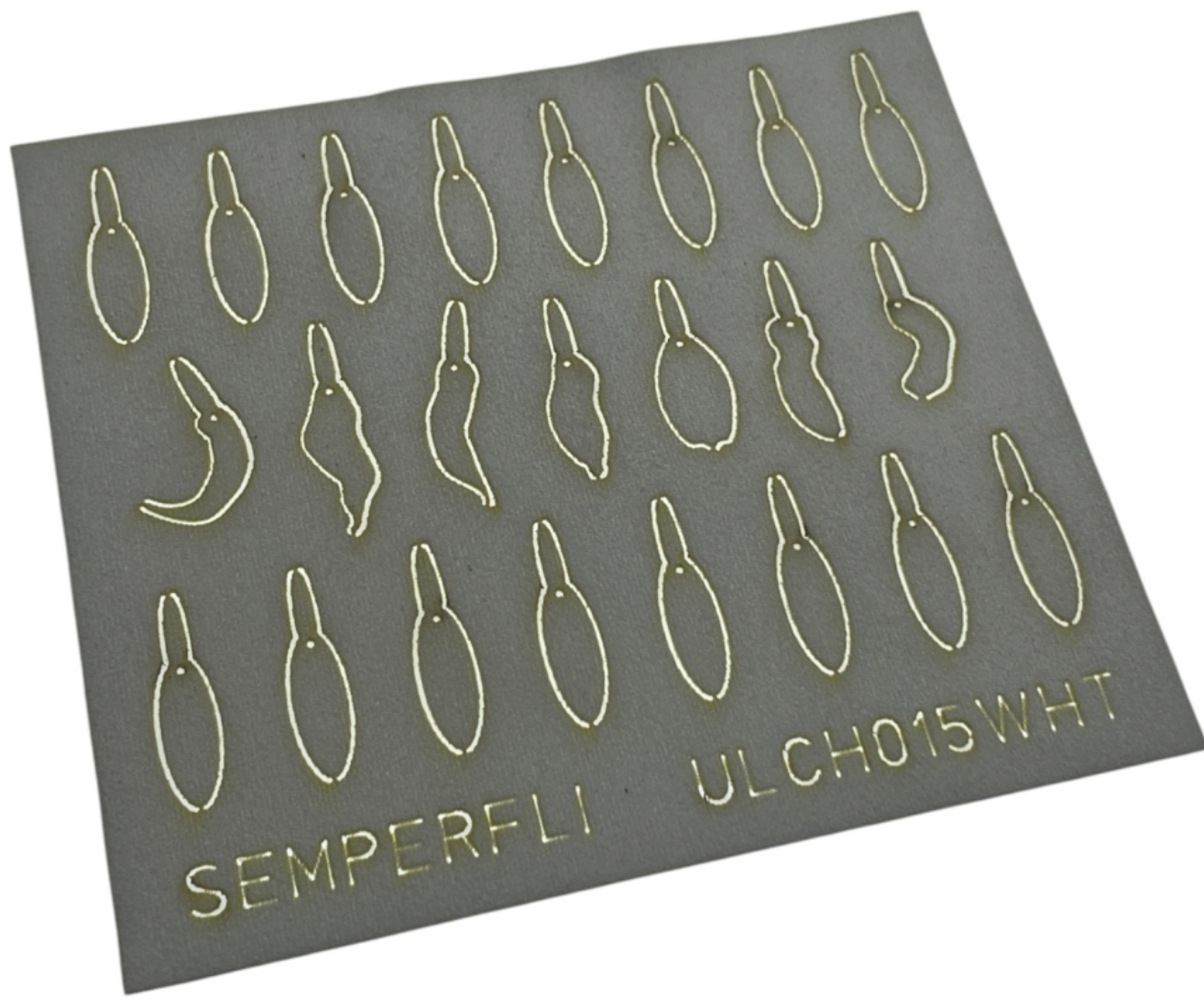 ABC Leech Bodies