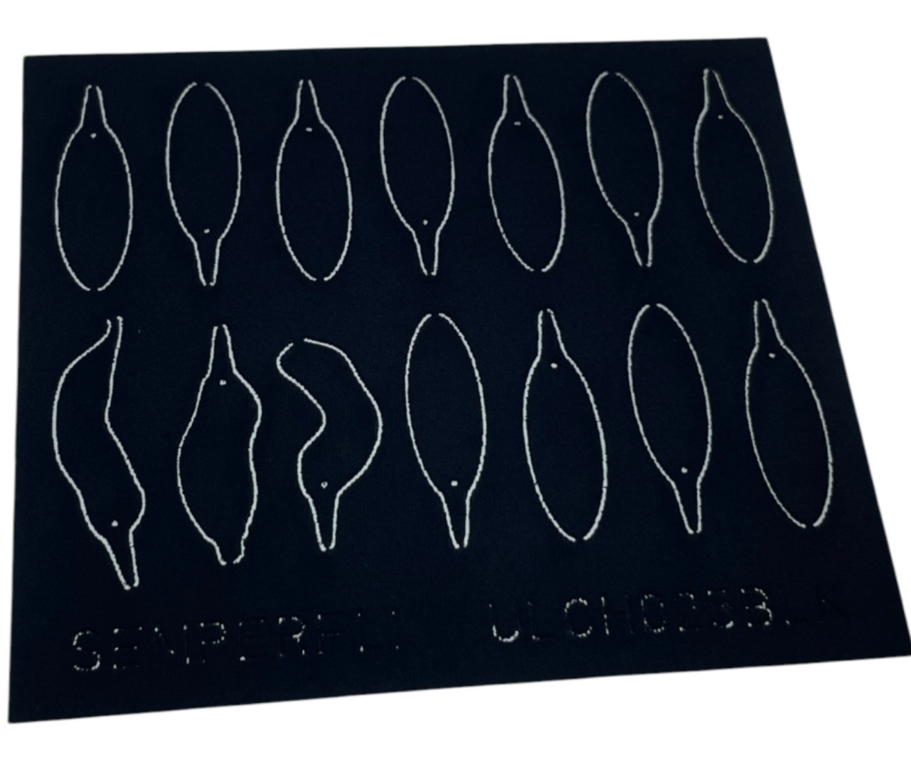 ABC Leech Bodies