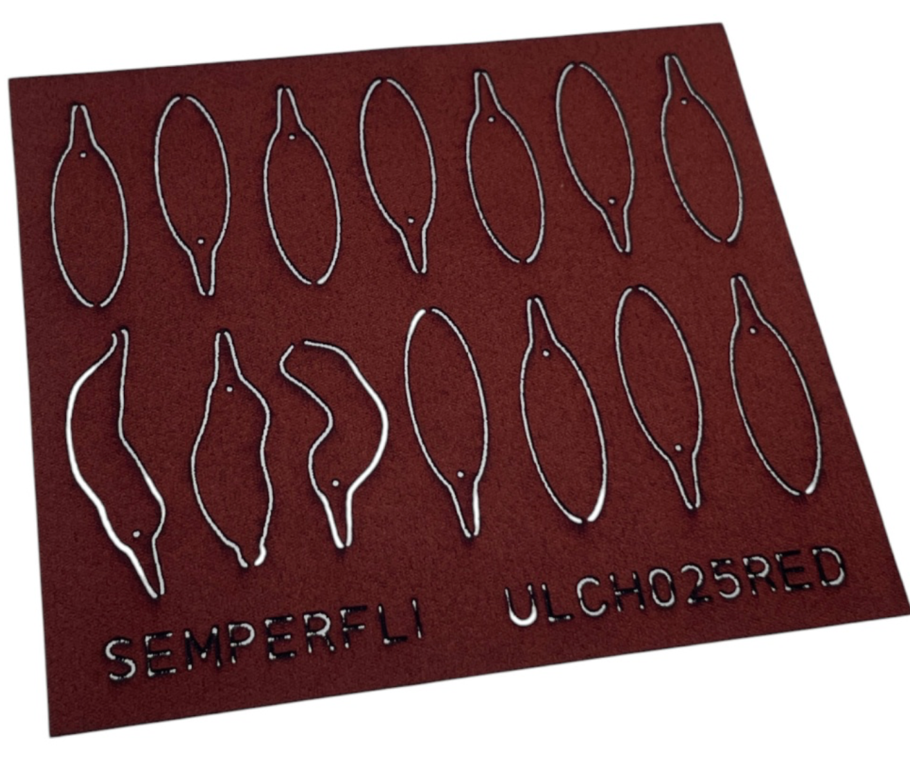 ABC Leech Bodies