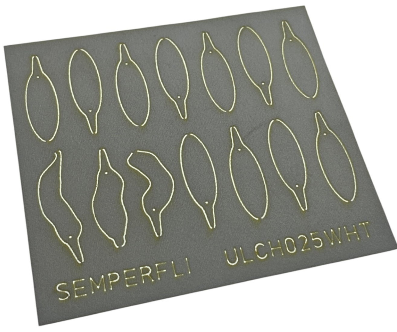 ABC Leech Bodies
