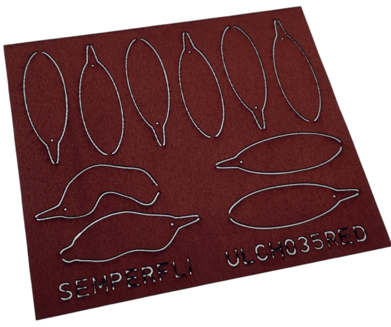 ABC Leech Bodies