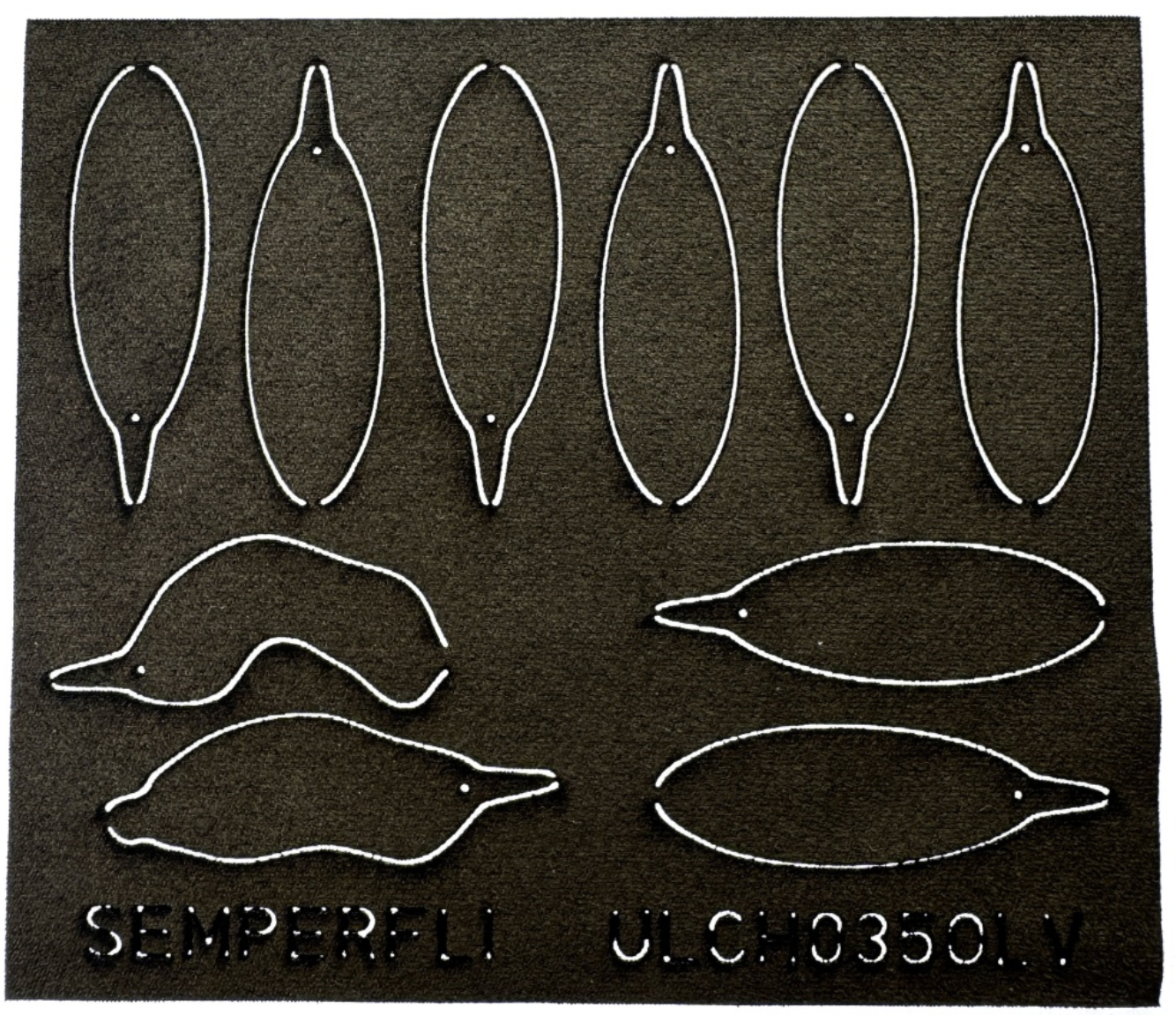 ABC Leech Bodies