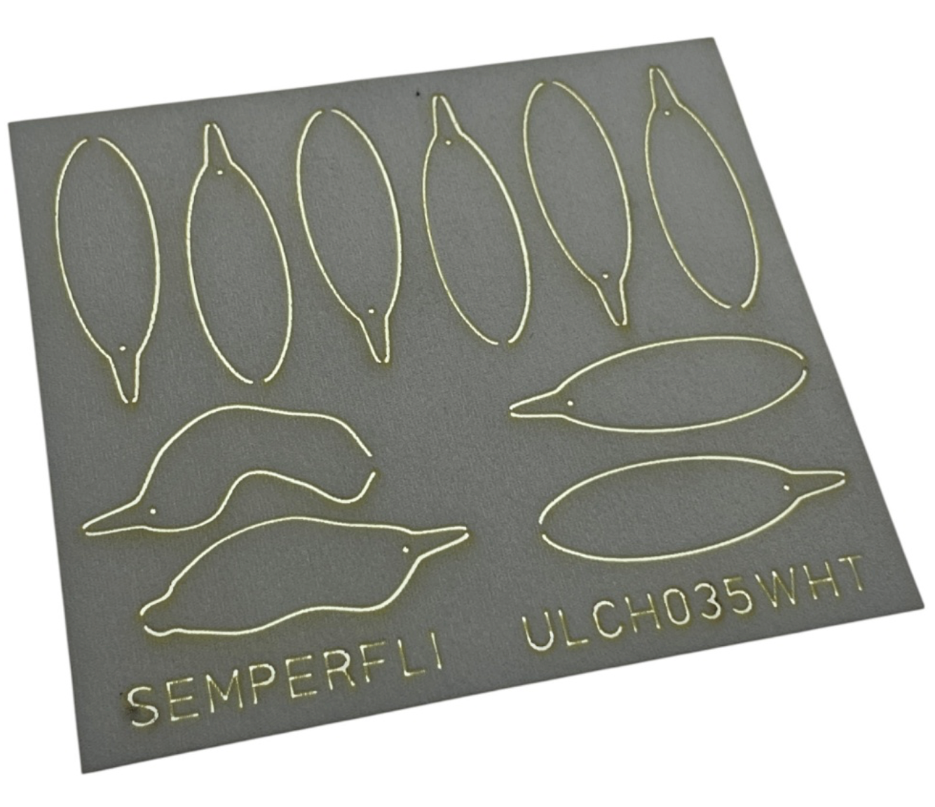 ABC Leech Bodies