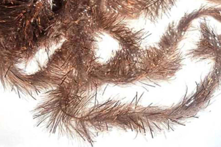 Semperfli Copper Tinsel Fleck 15mm