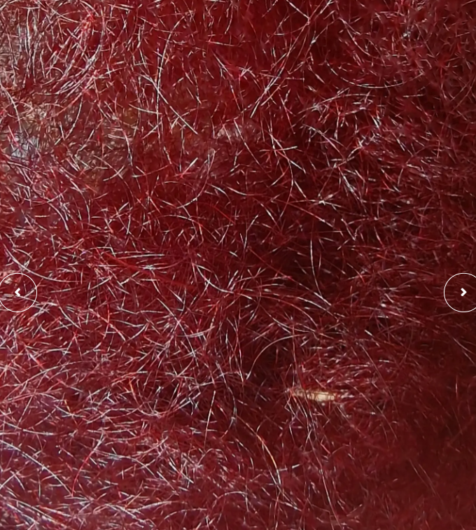 Kindale Seals Fur Sub