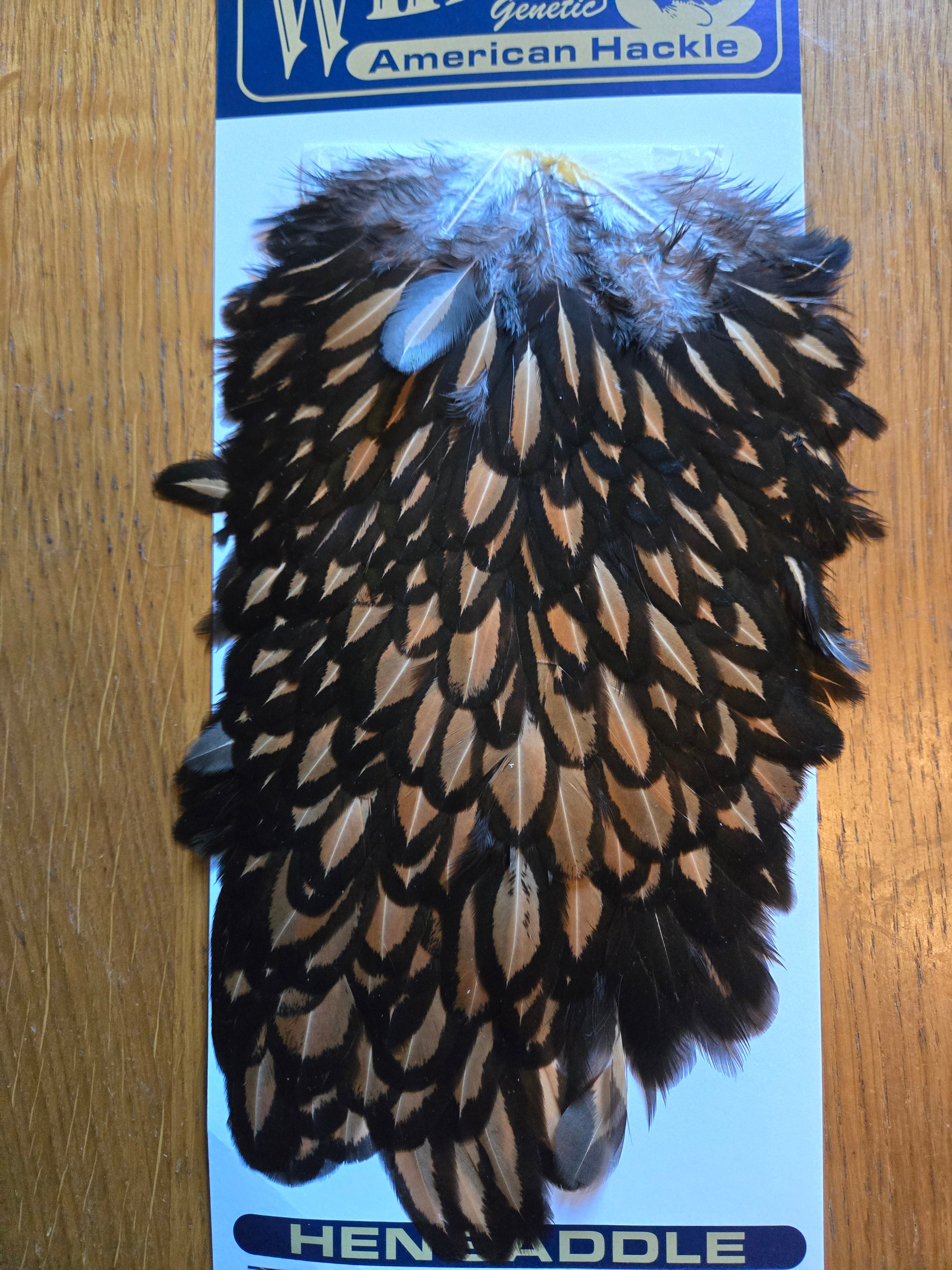 Whiting American Hackle - Hen Saddle Black laced Brown (22)