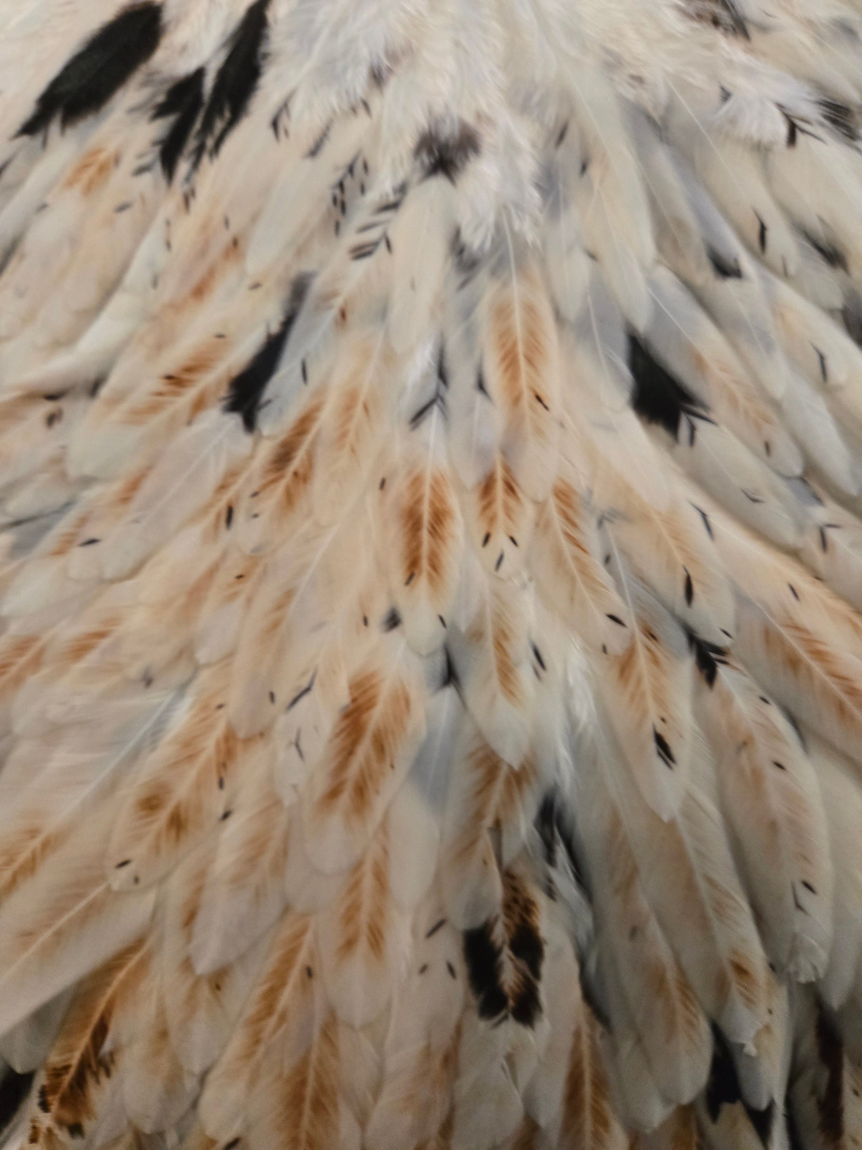 Whiting Wet Fly Hackle - Hen Saddle Unique Variant (12)