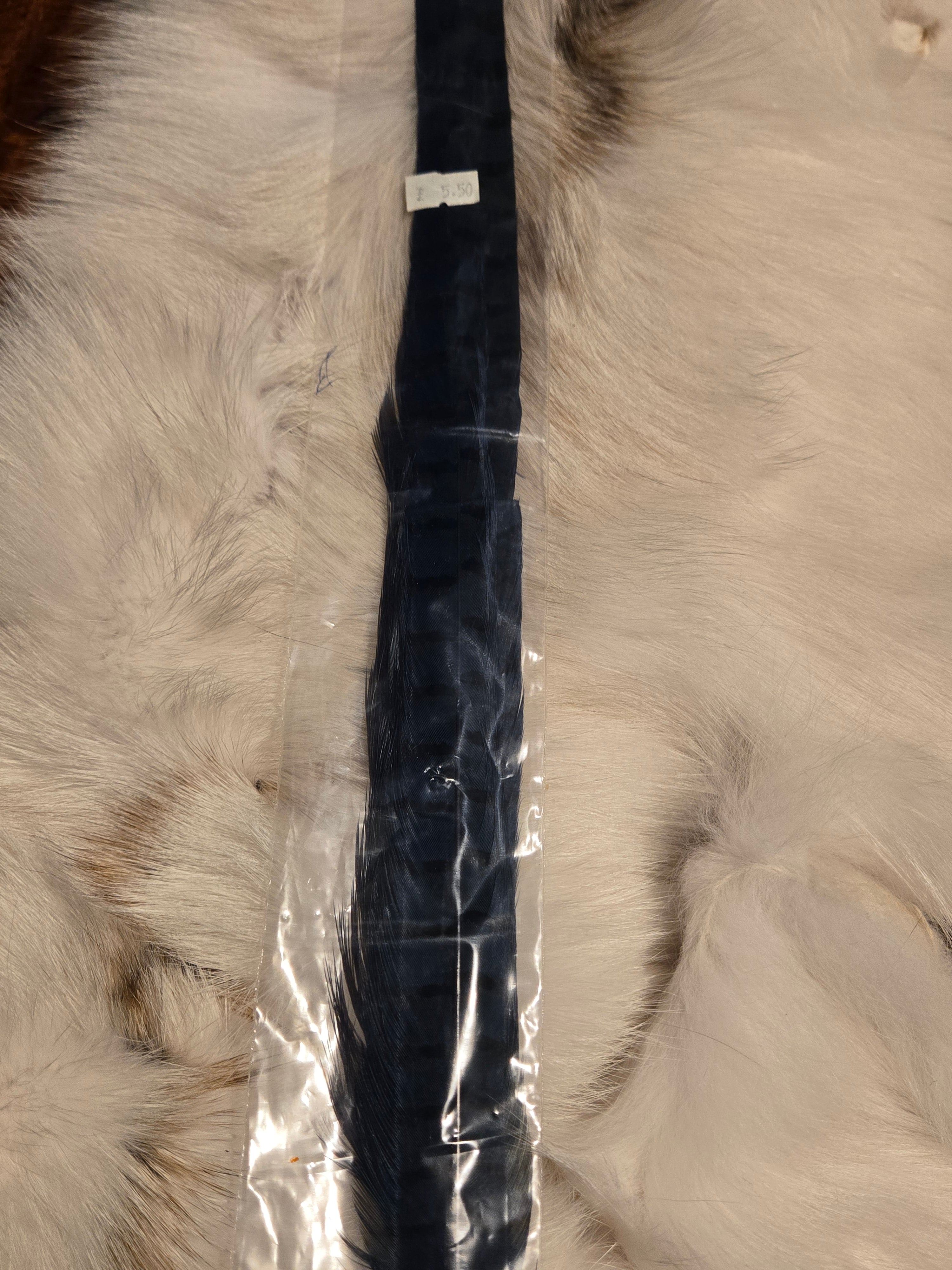 Waspi - 1 Pair RingNeck Tail Feathers