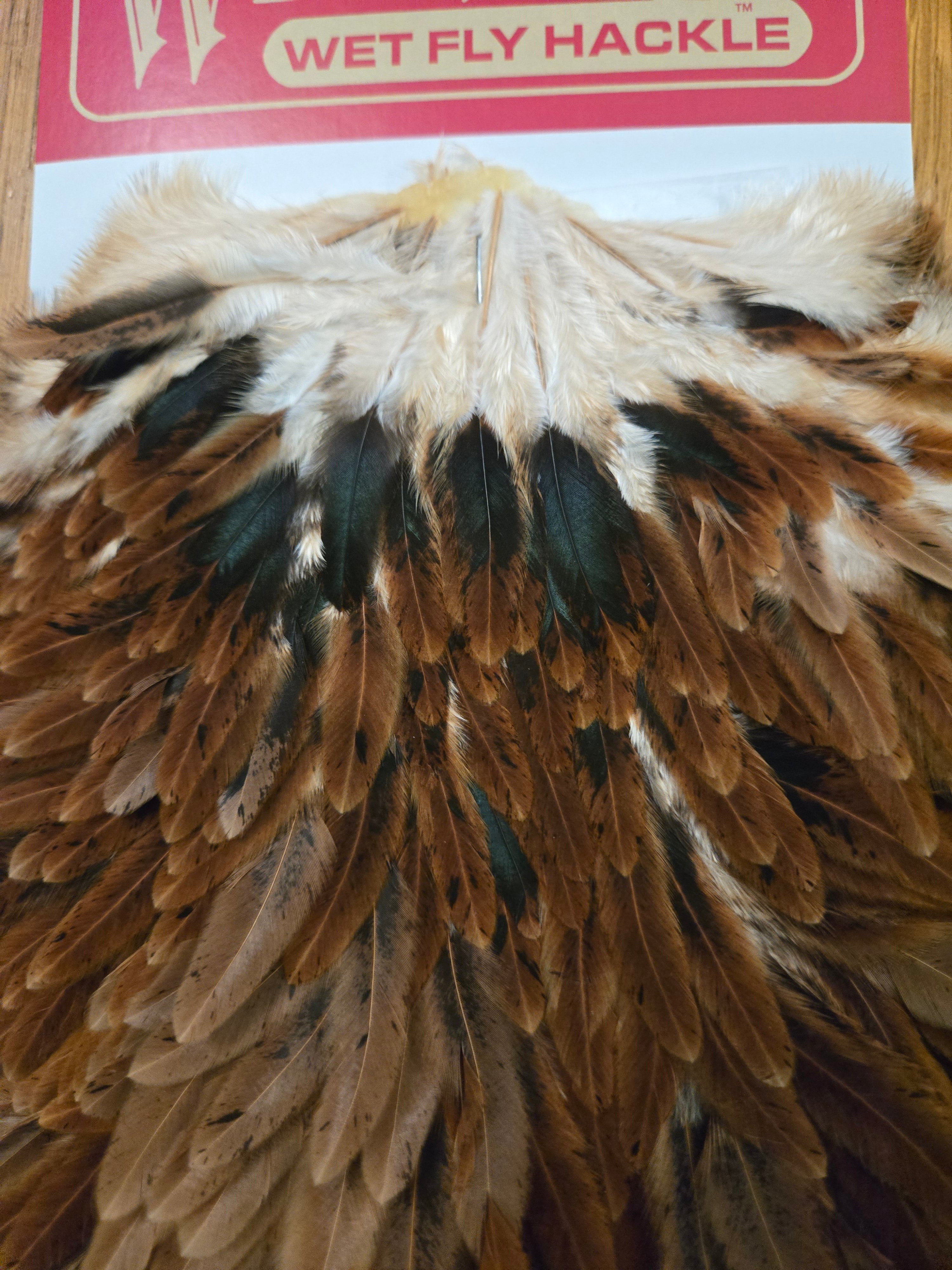 Whiting Wet Fly Hackle - Hen Saddle Brown (17)