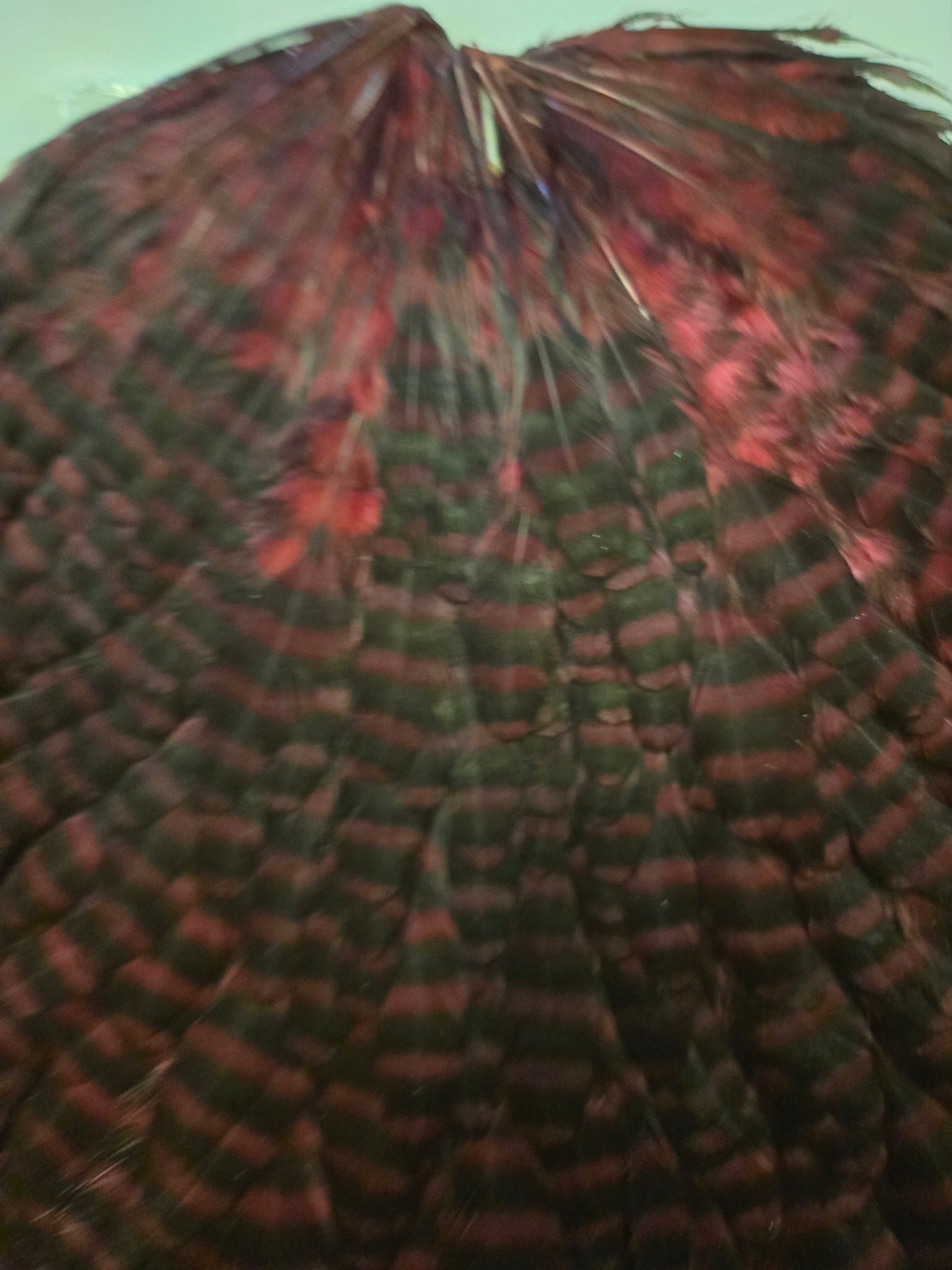 Whiting Wet Fly Hackle - Grizzly Dyed Claret (92)