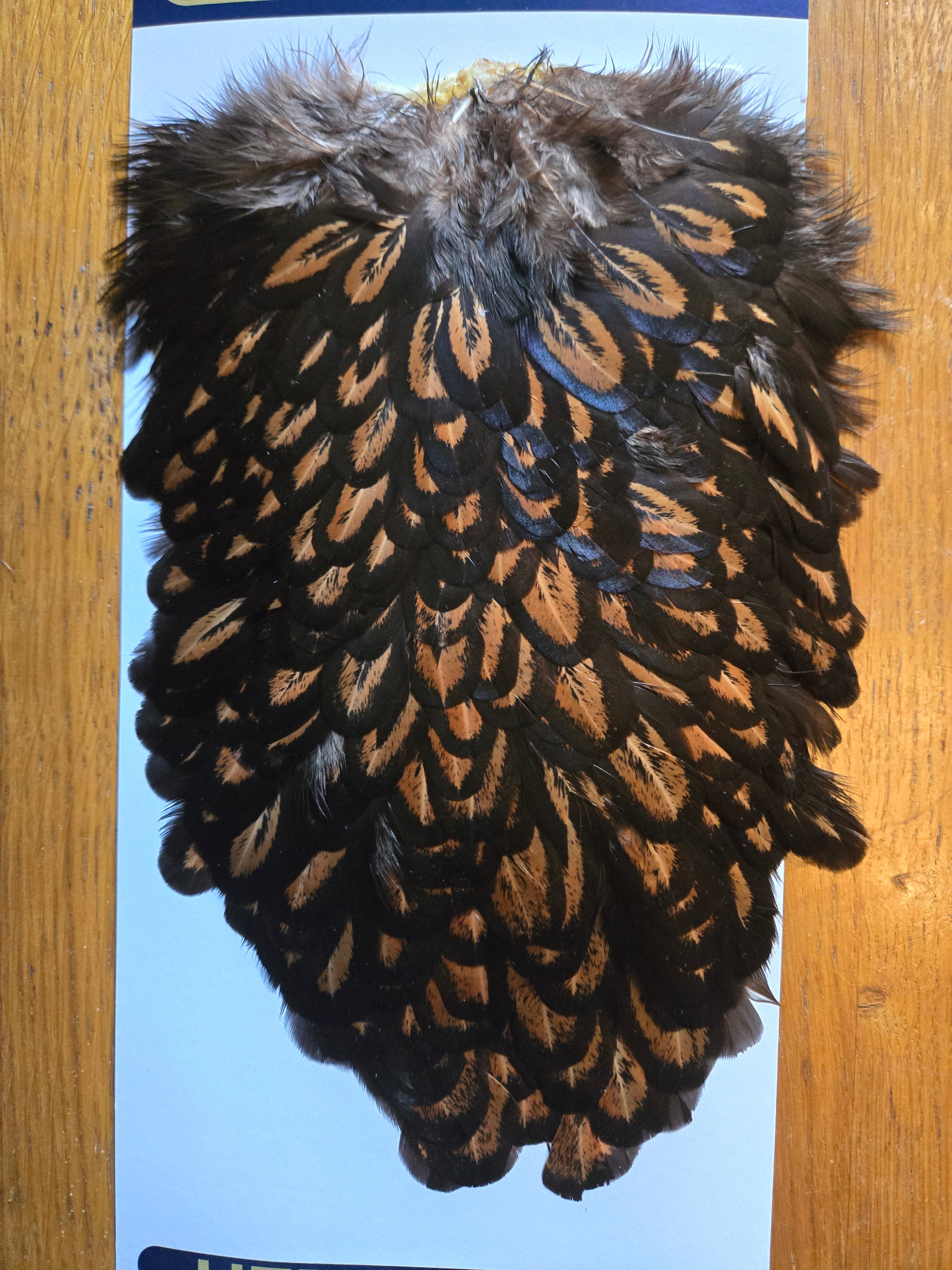 Whiting American Hackle - Hen Saddle Black Laced Brown (26)