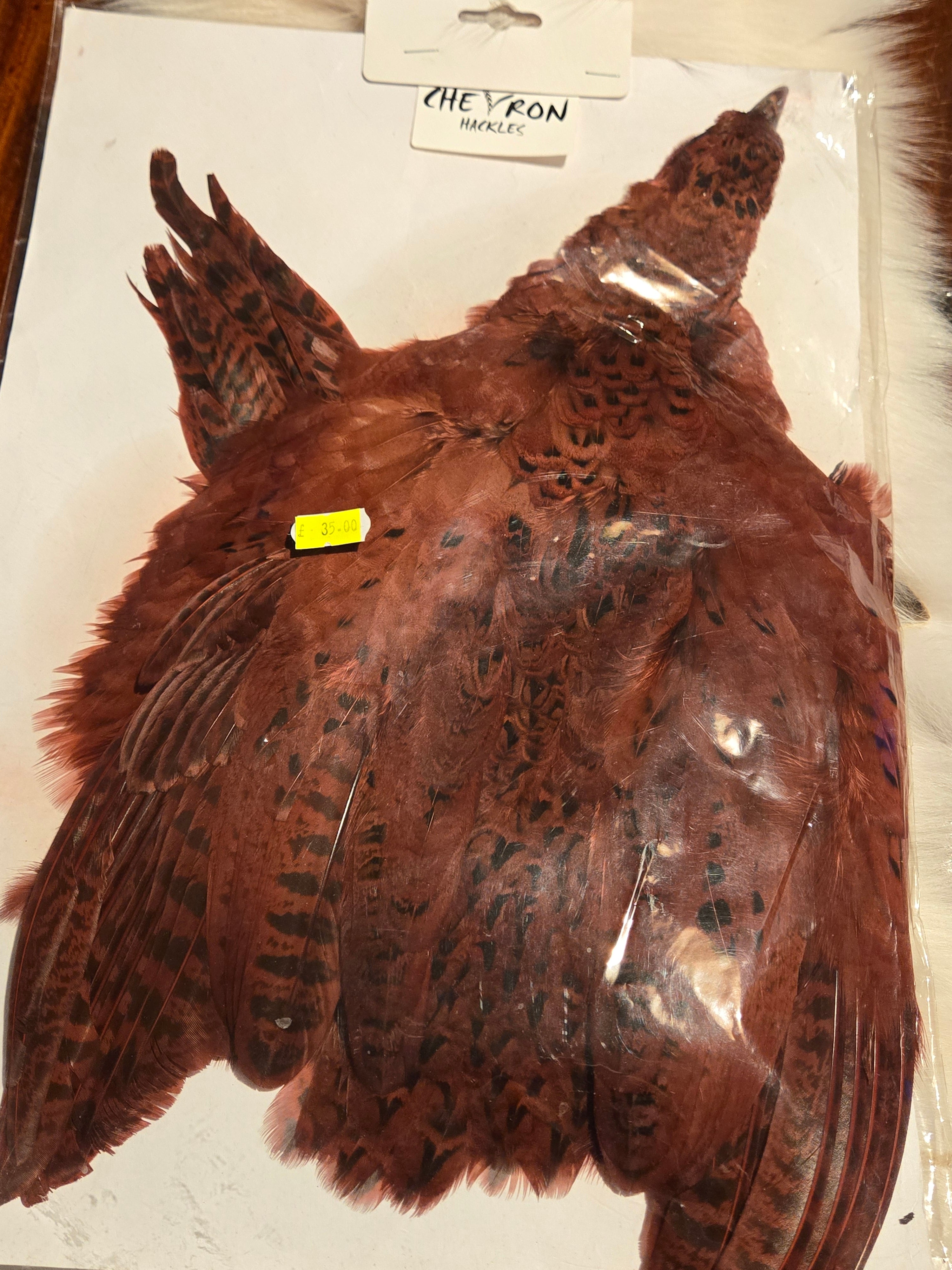 Chevron Hackles - Hen & Cock Pheasants