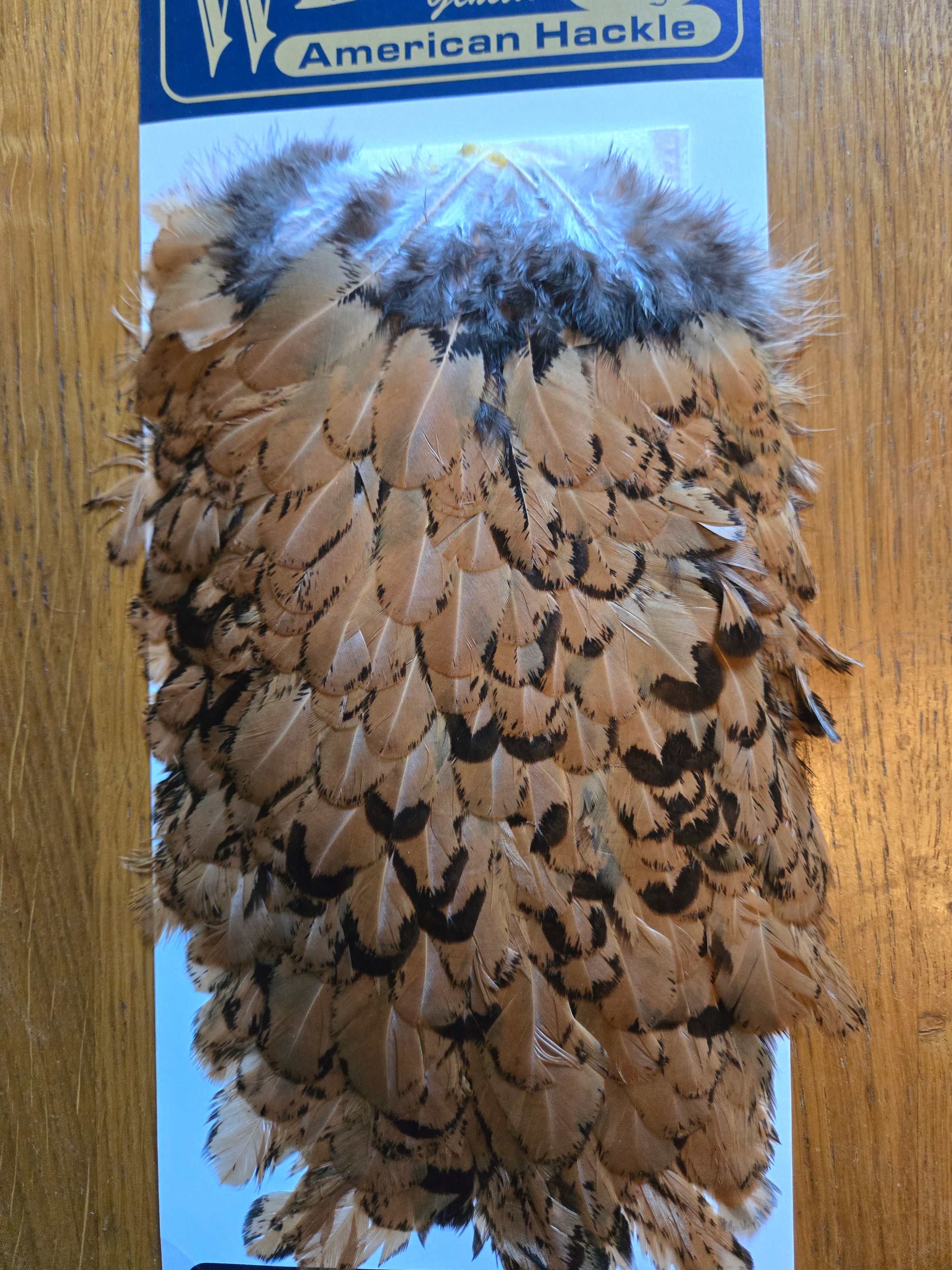 Whiting American Hackle - Hen Saddle Unique Variant (23)