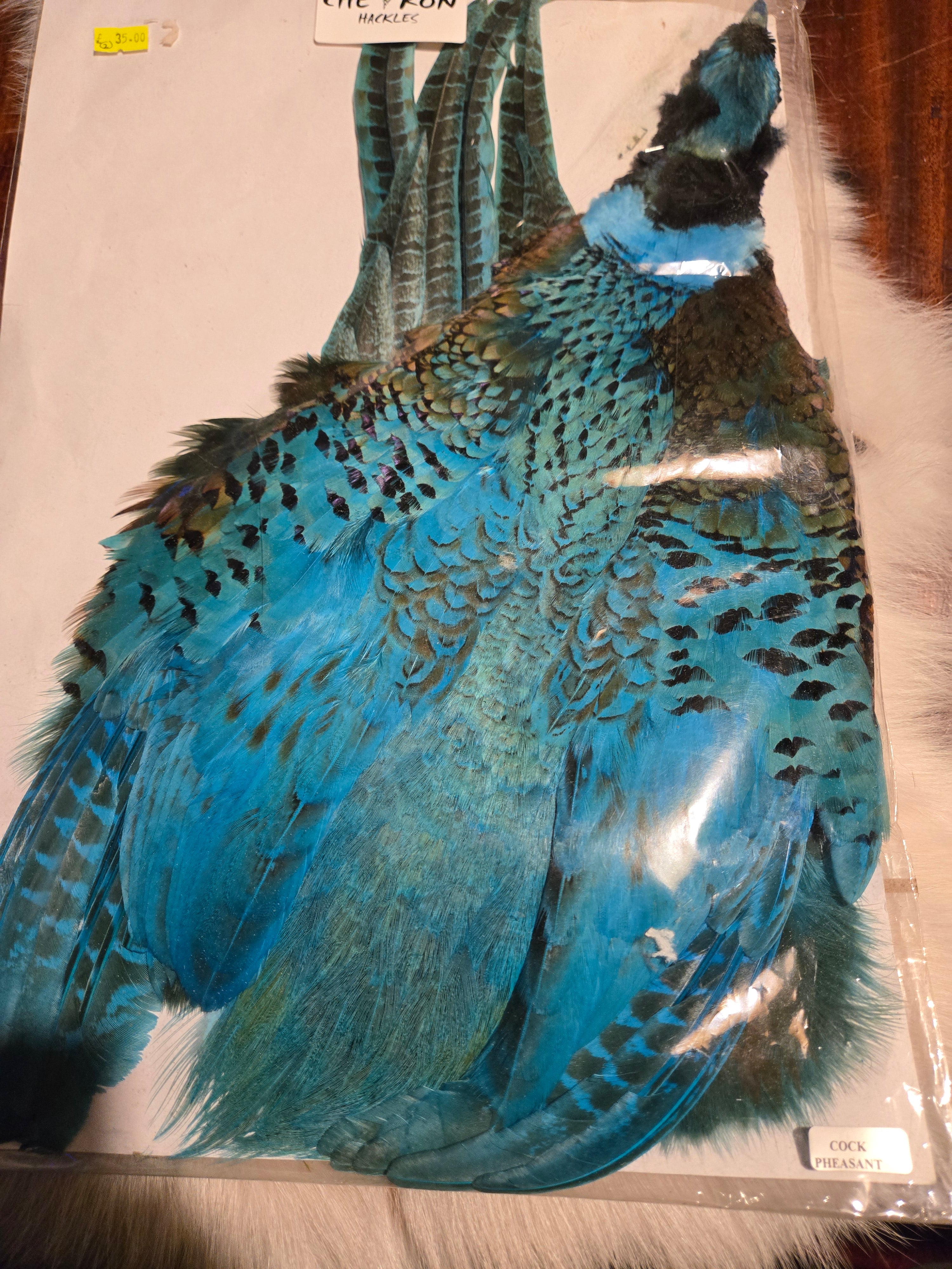 Chevron Hackles - Hen & Cock Pheasants