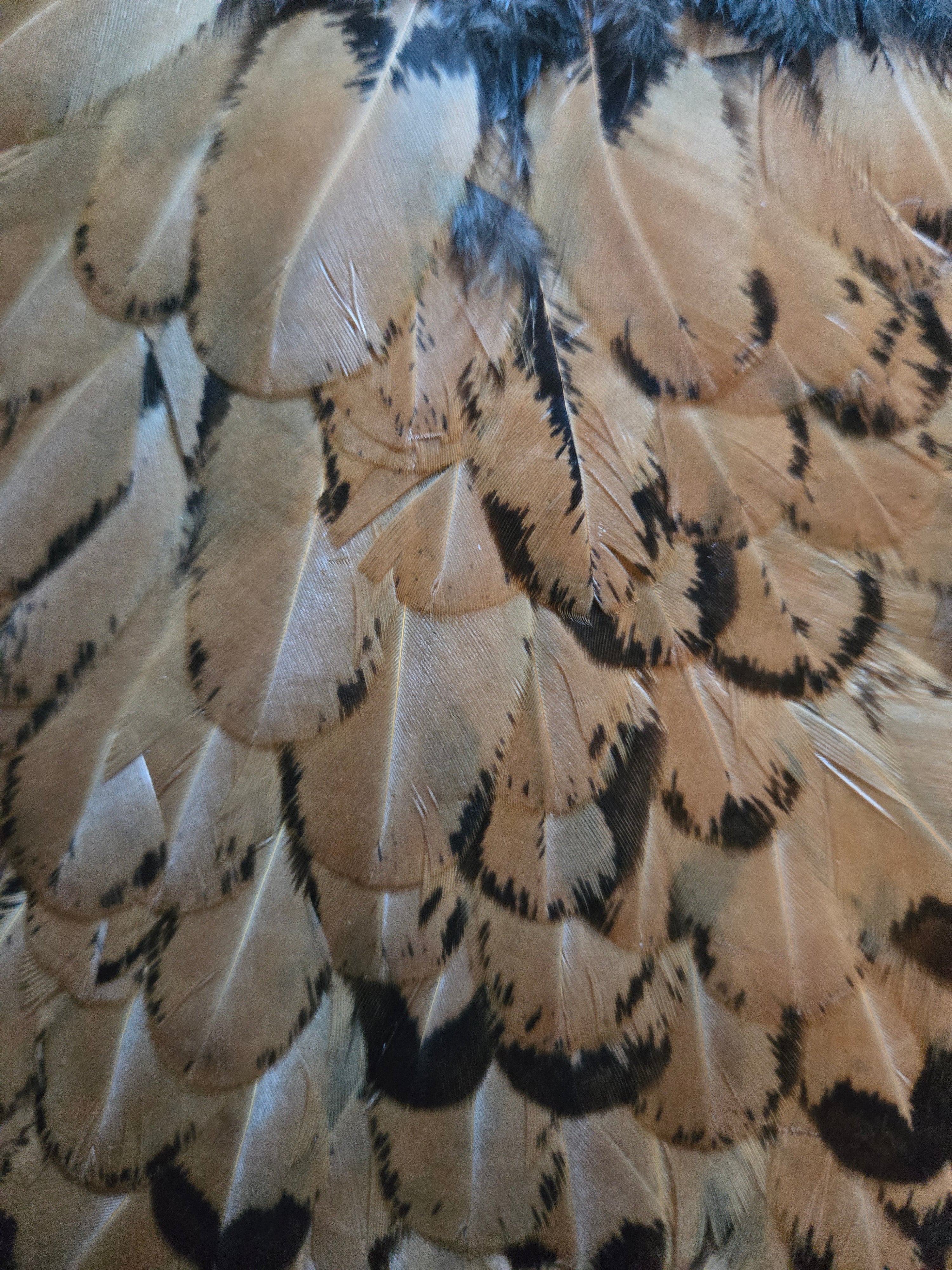 Whiting American Hackle - Hen Saddle Unique Variant (23)