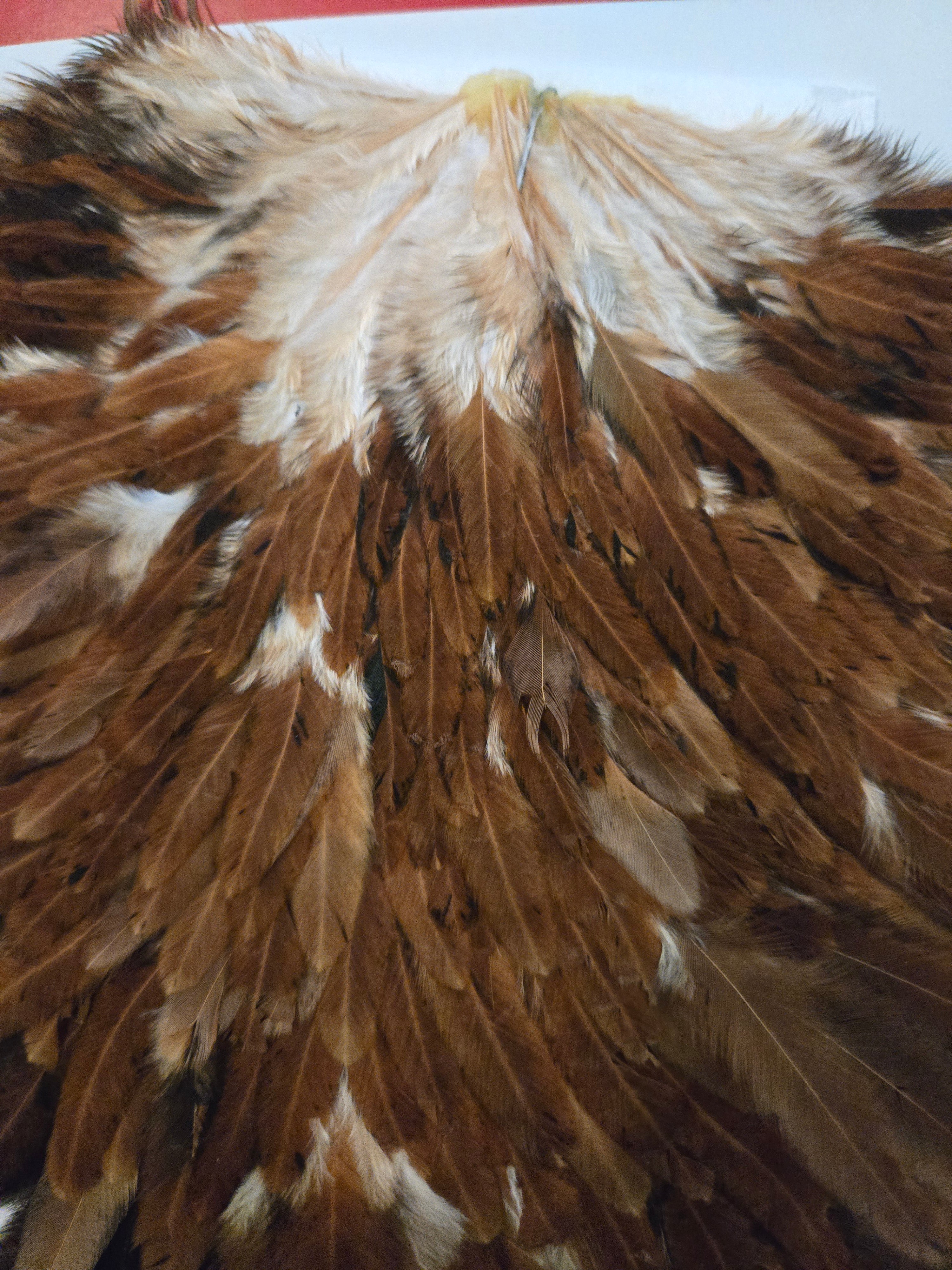 Whiting Wet Fly Hackle - Hen Saddle Brown (18)