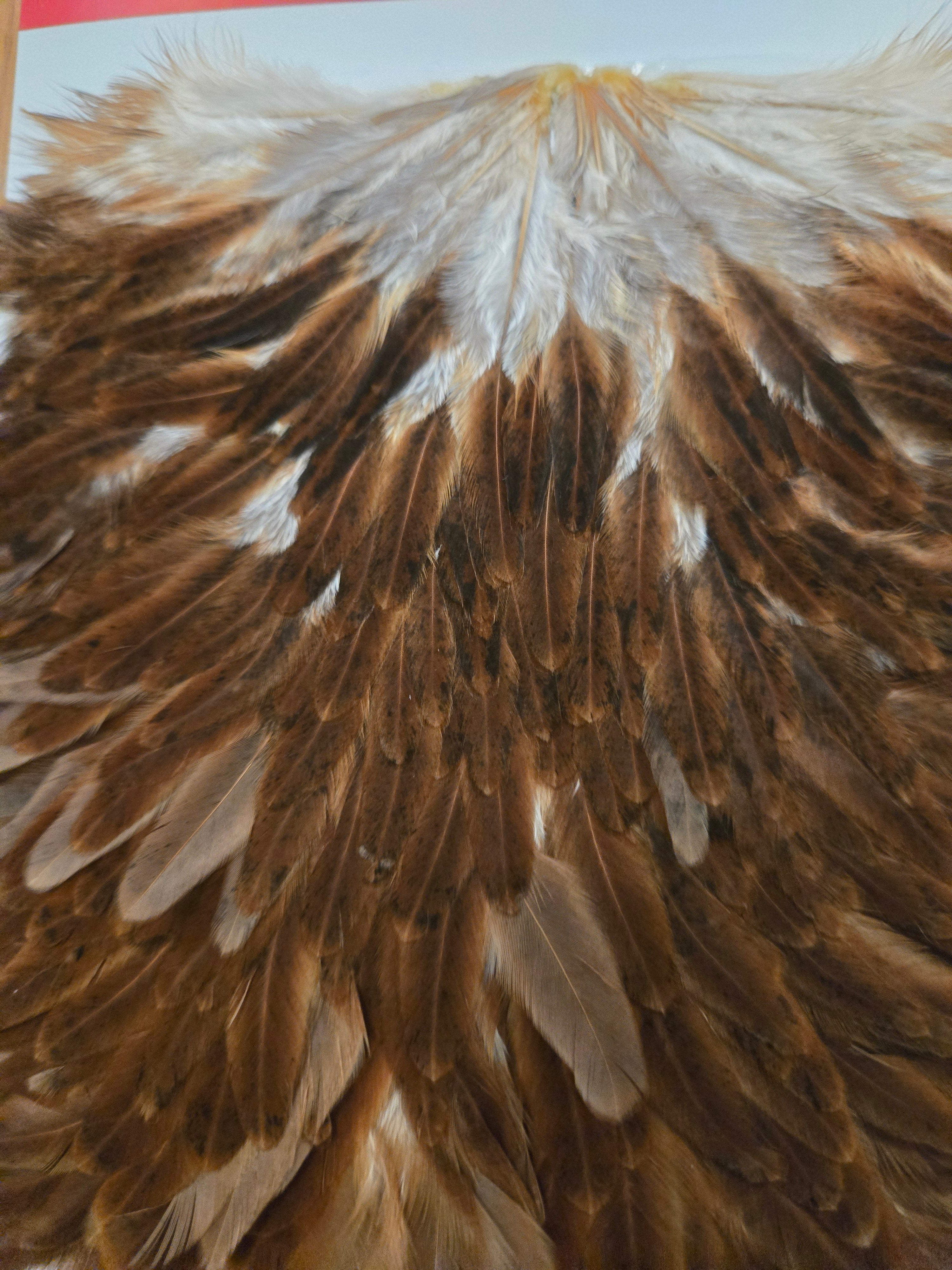 Whiting Wet Fly Hackle - Hen Saddle Brown (19)