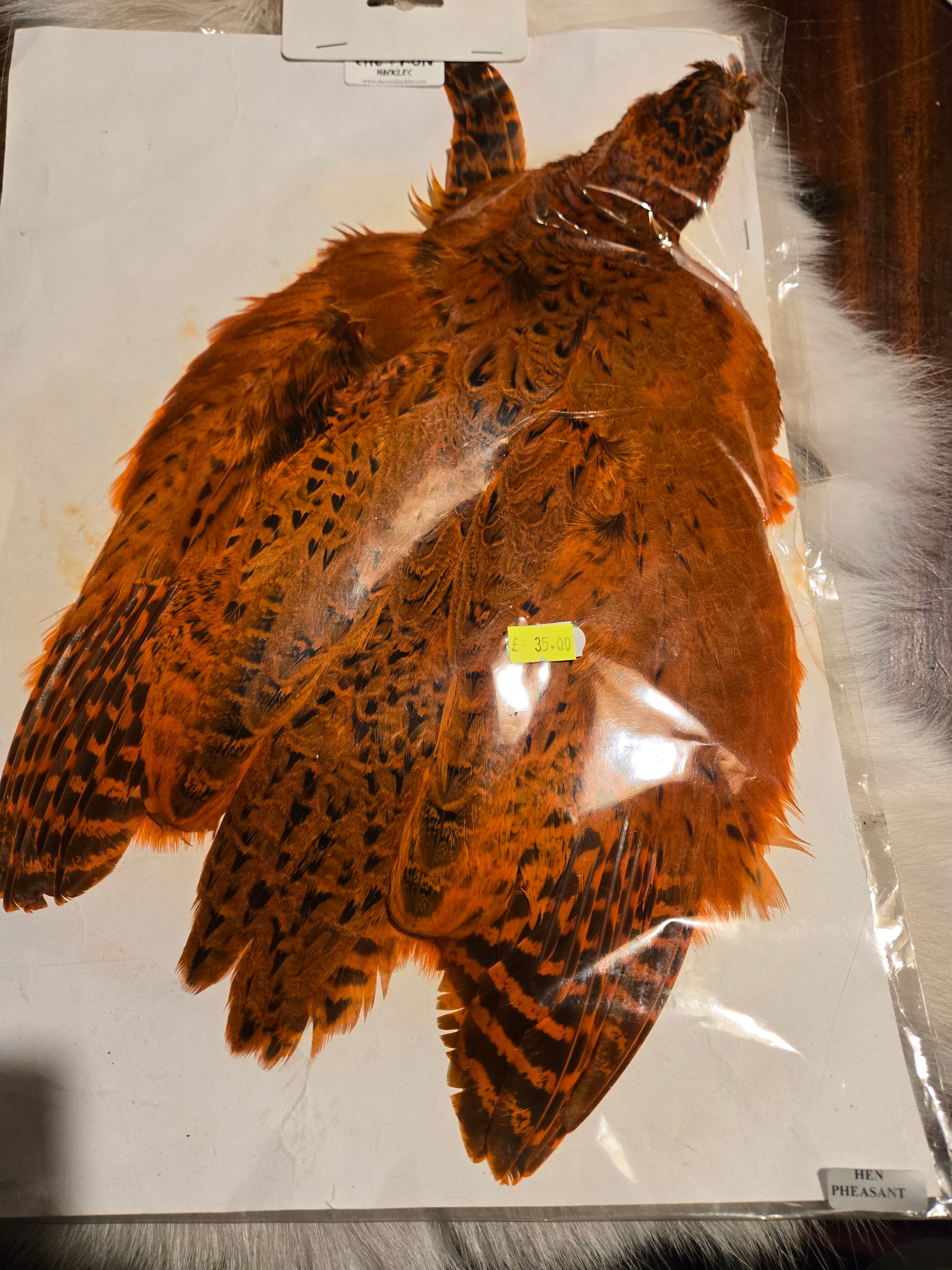 Chevron Hackles - Hen & Cock Pheasants