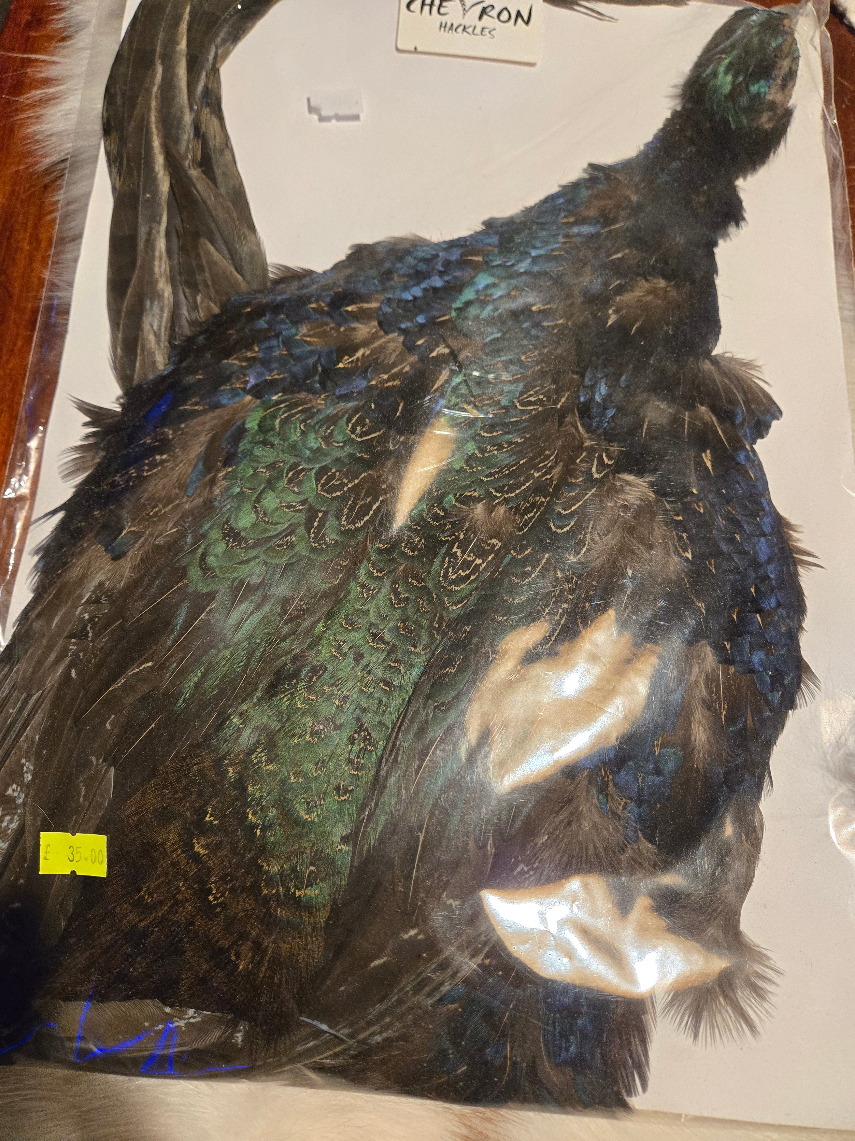 Chevron Hackles - Hen & Cock Pheasants