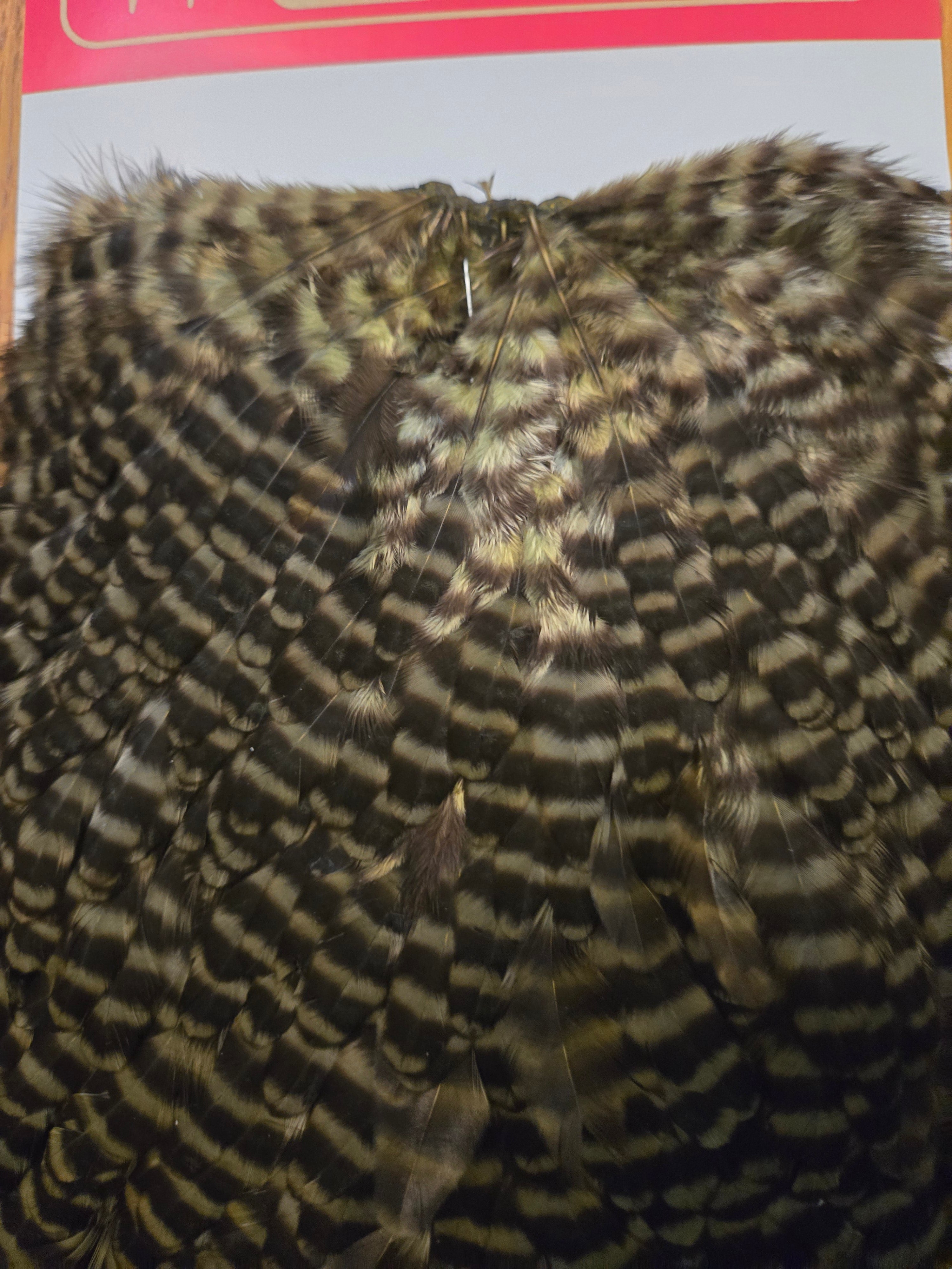 Whiting Wet Fly Hackle - Grizzly Dyed Dark Olive (96)